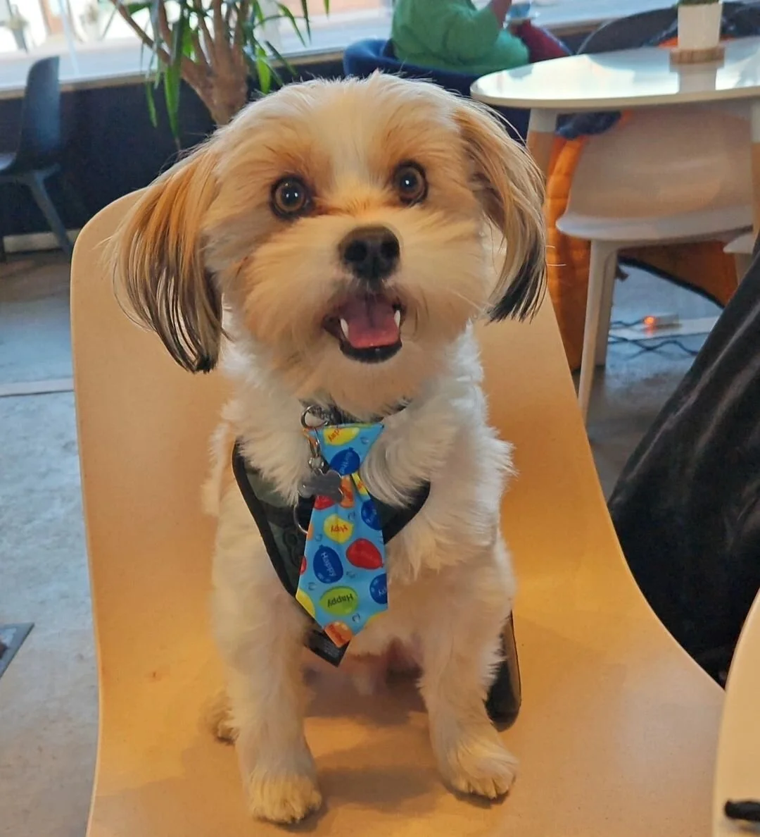 Happy 4th Birthday to my angel baby boy💙🥹

I love you more and more each day if that's even possible. I love you so much little bug. You are the sweetest, gentle, and most well behaved boy. 

You are so loved. Today you are spoiled (as like everyda