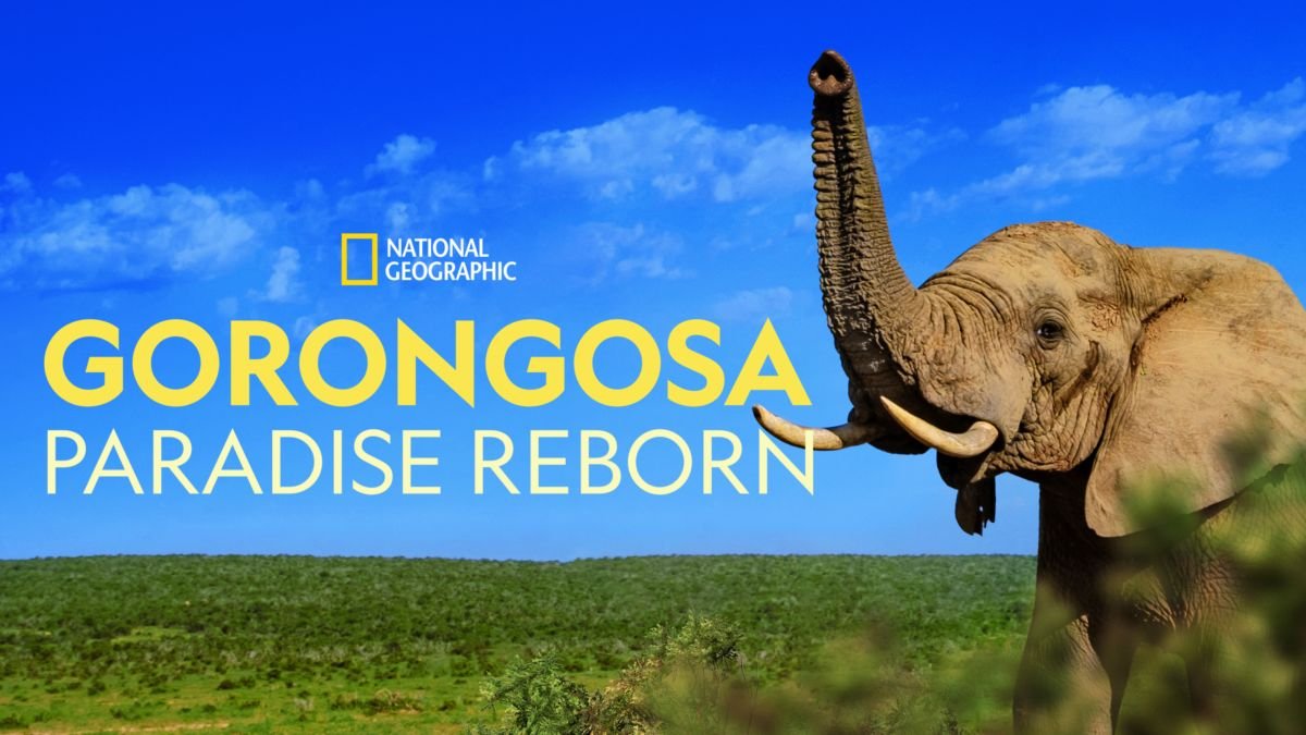 gorongosa.jpeg