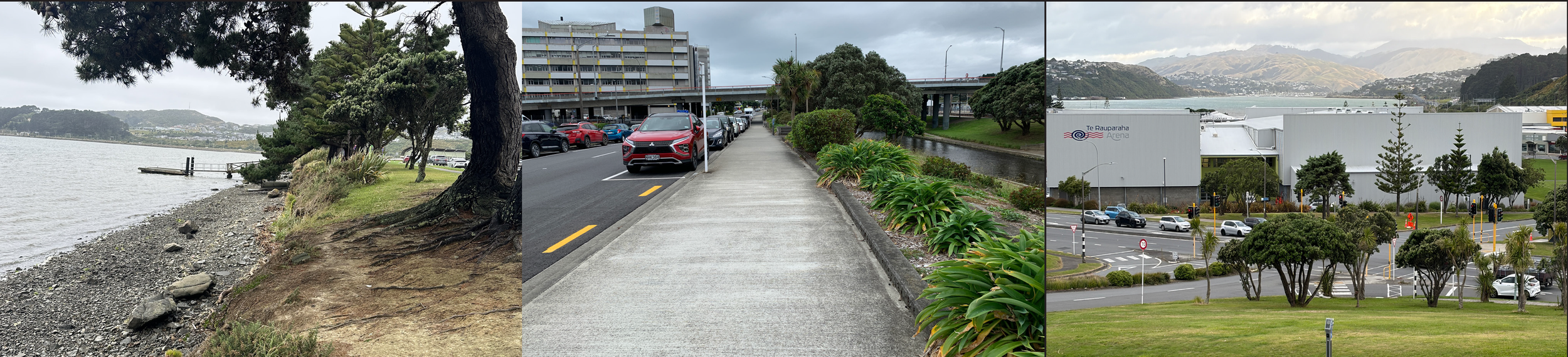 IMAGES PORIRUA_2.png