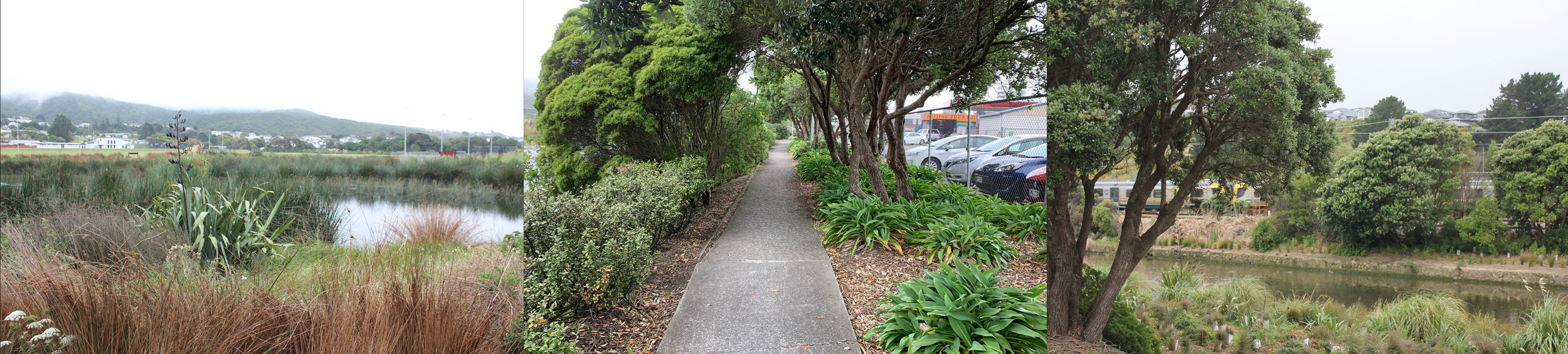 IMAGES PORIRUA_4.png