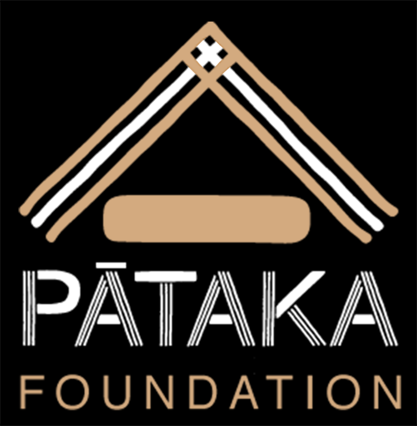 PatakaFoundationlogo2colour.png