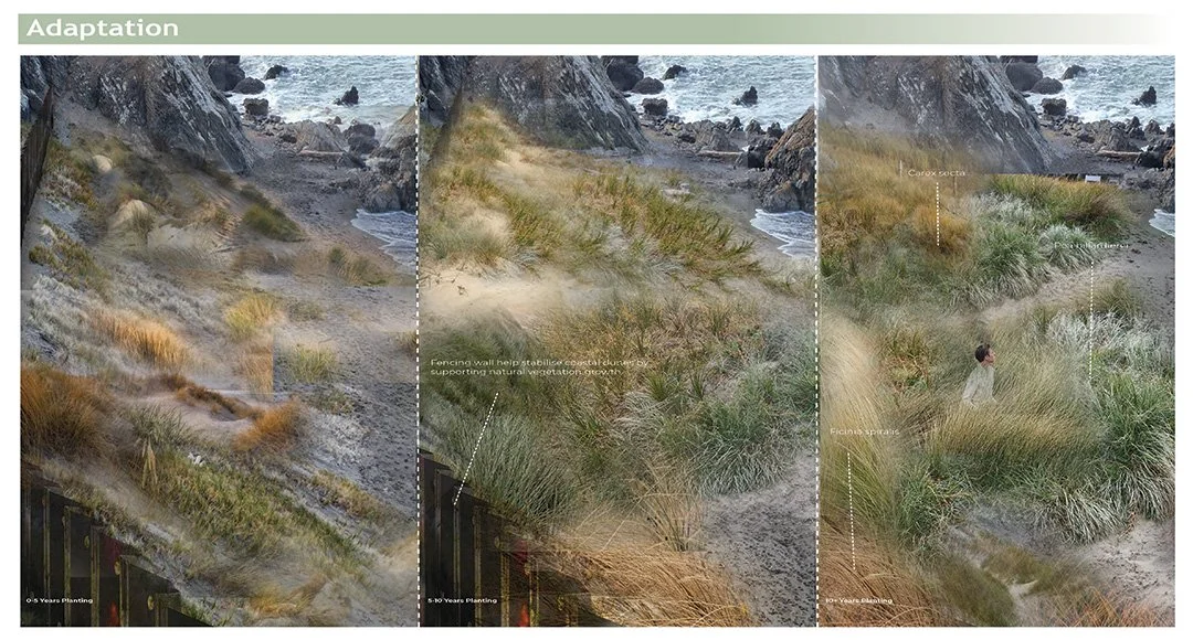 LAND411_2025_group 01_project 3_SLIDES_Page_09.jpg