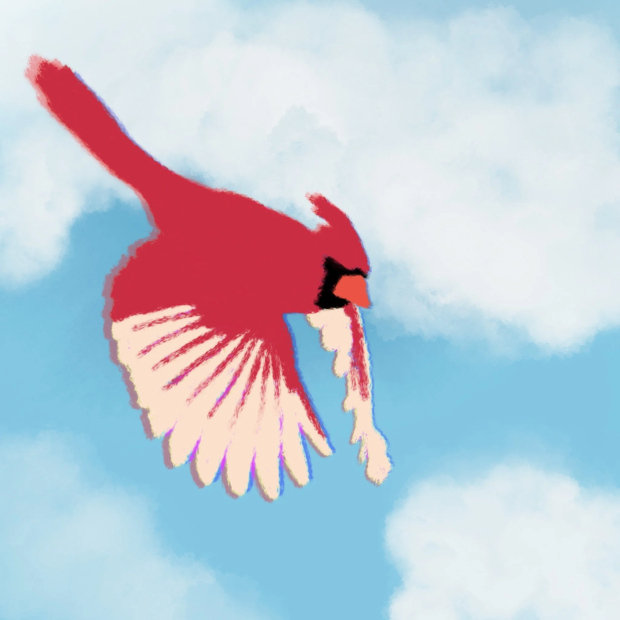 Cardinal.jpg