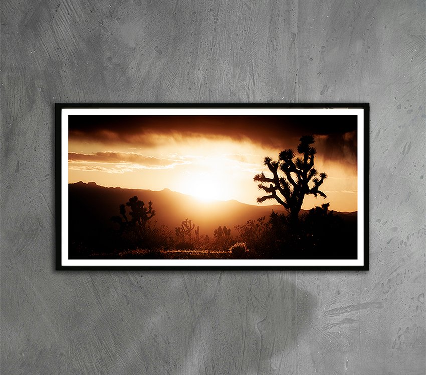 Close Joshua Tree Sunset Mockup.jpg