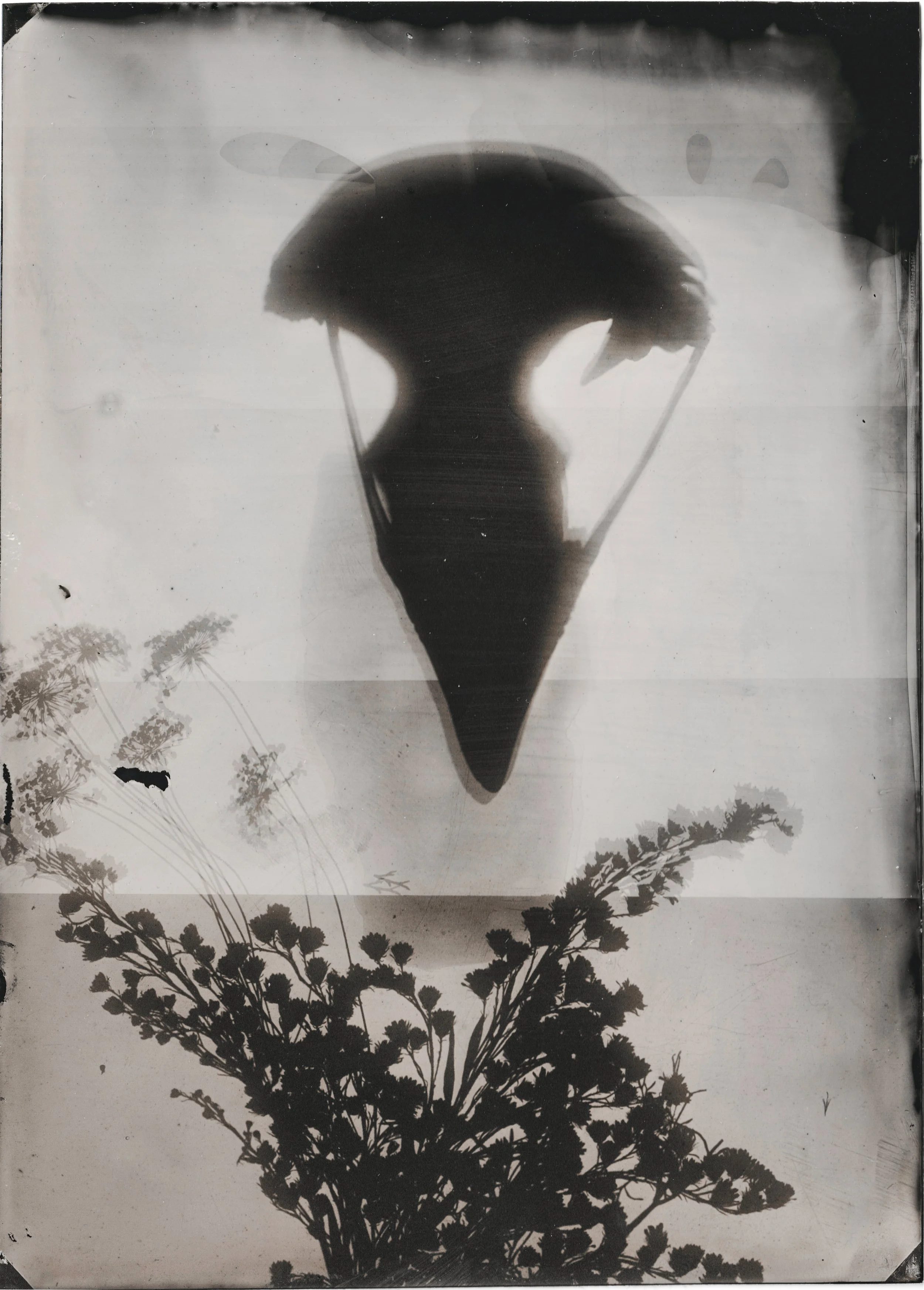 Tintype_12.jpg