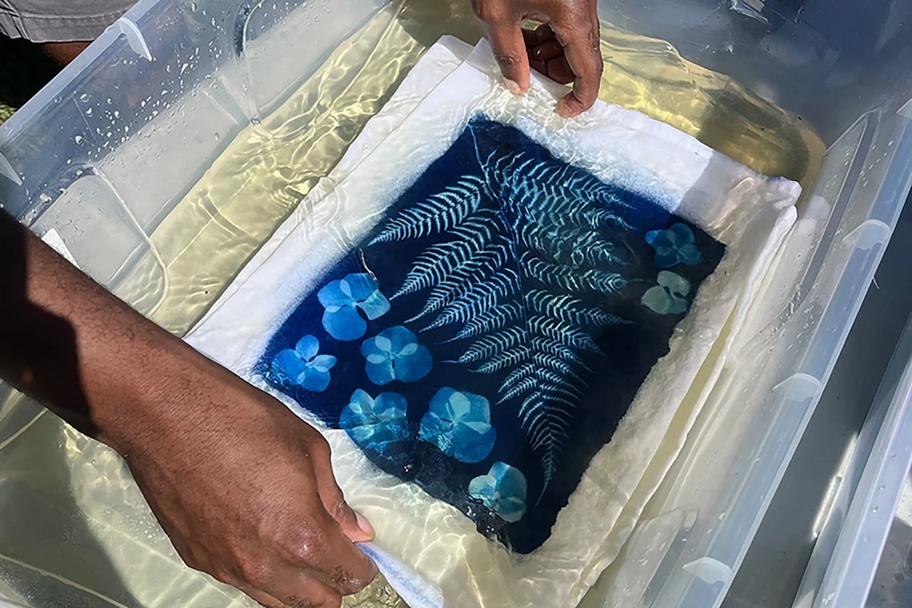 Cyanotype Printing