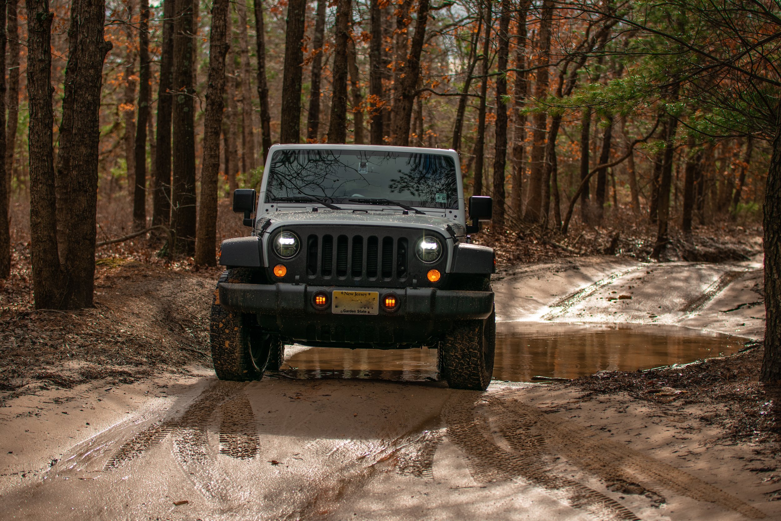 DSC_1564-1.jpg