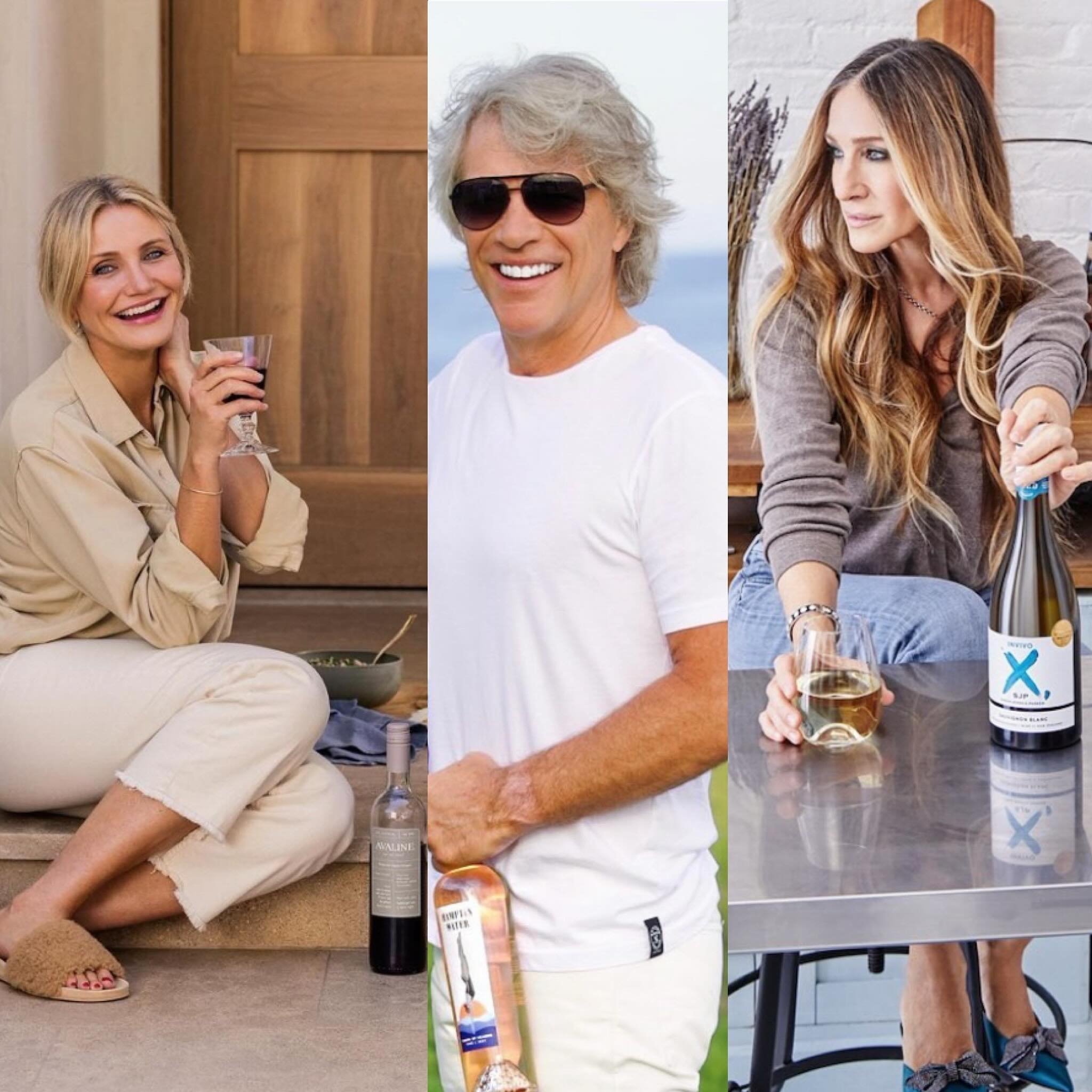 What do @camerondiaz, @jonbonjovi, &amp; @sarahjessicaparker have in common?

They all have their own 90+ point wines that cost less than $20.

Don&rsquo;t believe that celebrities can actually make decent wine?

🔗 Click on the link in bio to see th