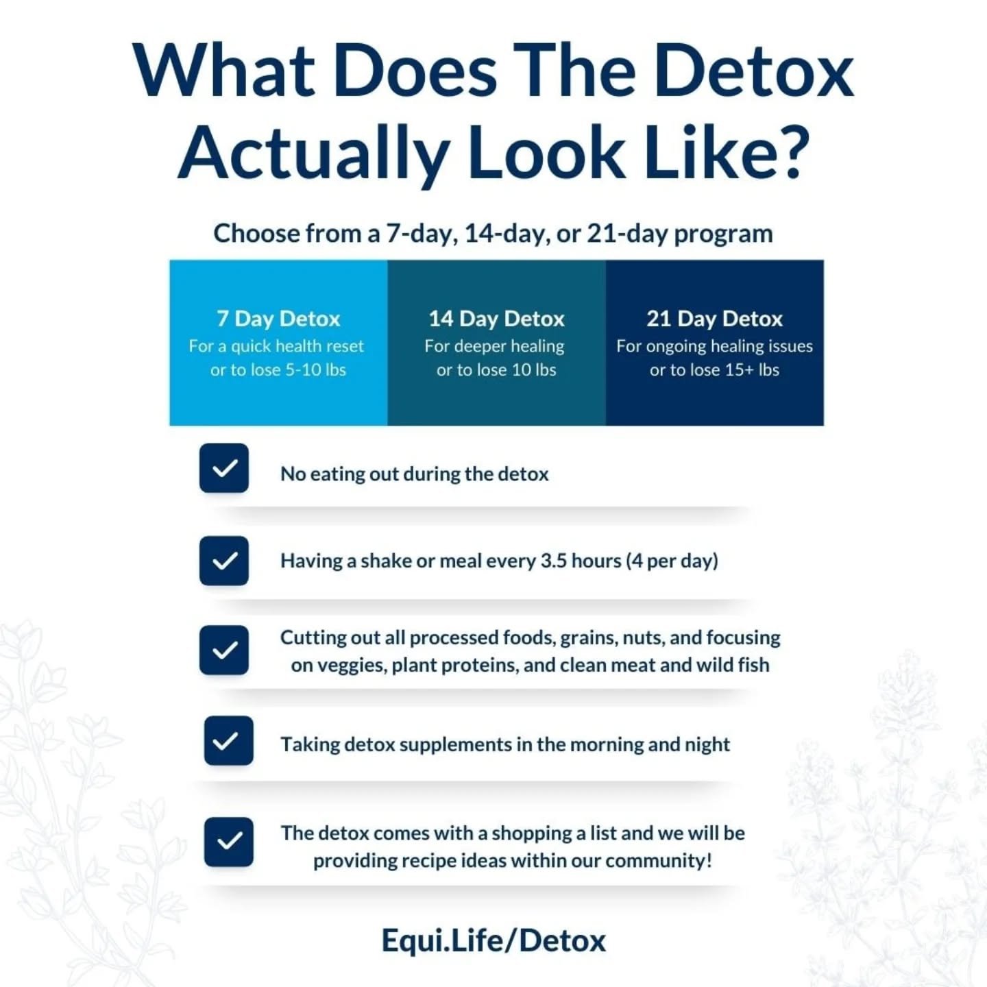 If you're curious about the detox but not sure what it's all about, this is the nitty gritty parts of it.

Inside the group you'll get support, recipes, a chance to have community, and MORE. 

Join us this year, link in bio!

#equilifedetox #groupdet