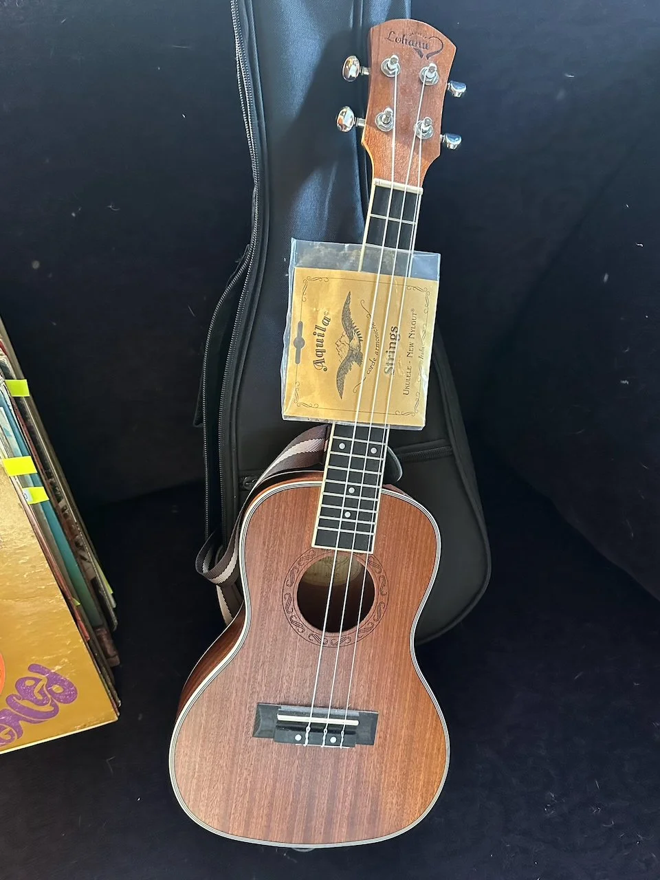 Music & Musical Instruments - 14 of 50.jpeg