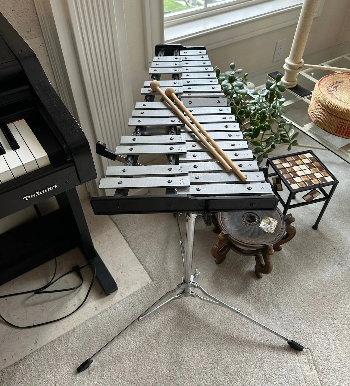 Music & Musical Instruments - 5 of 50.jpeg