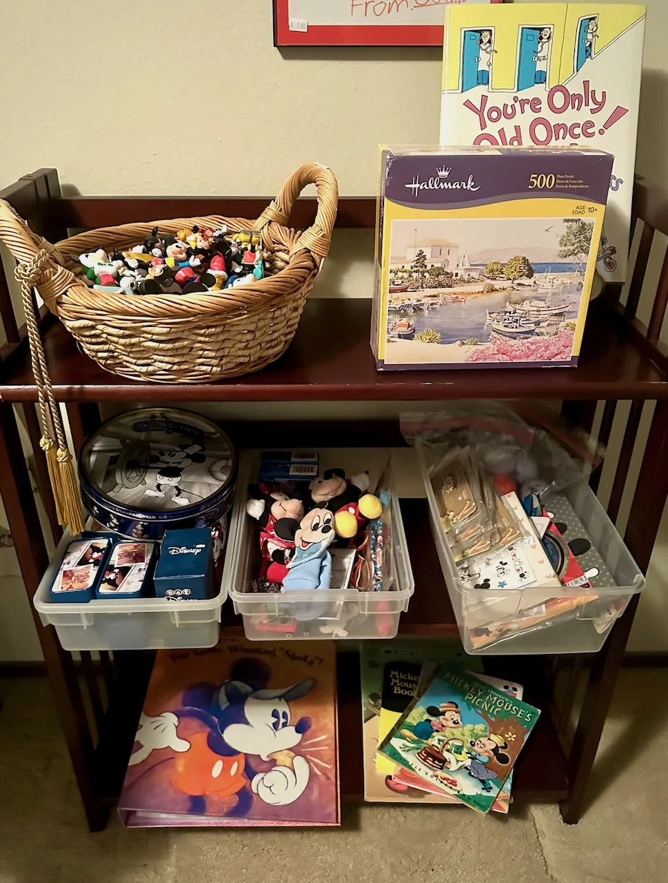 Our Shelving Displays - 4 of 40.jpeg