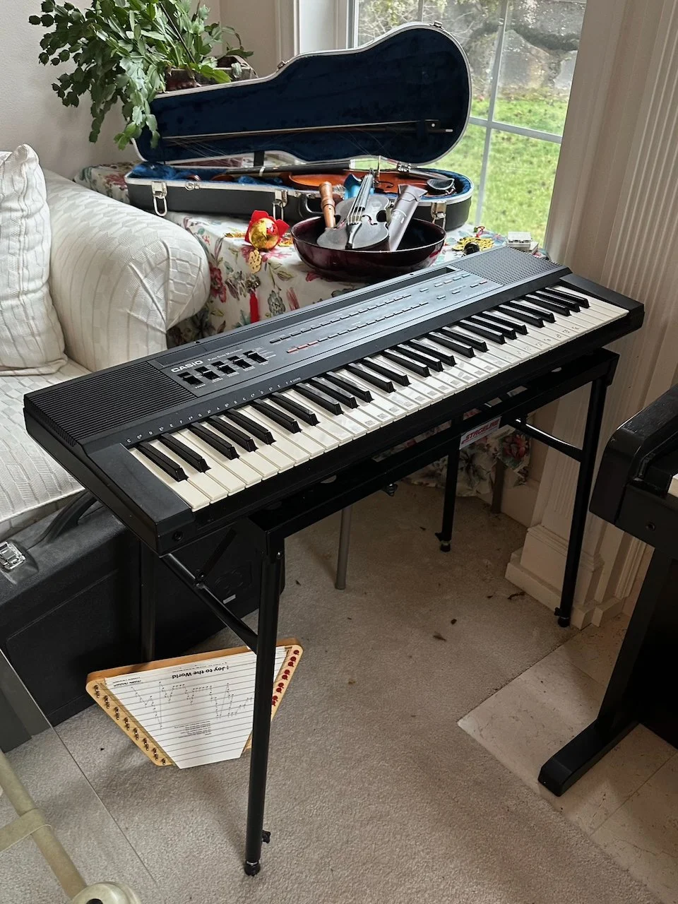 Music & Musical Instruments - 11 of 50.jpeg