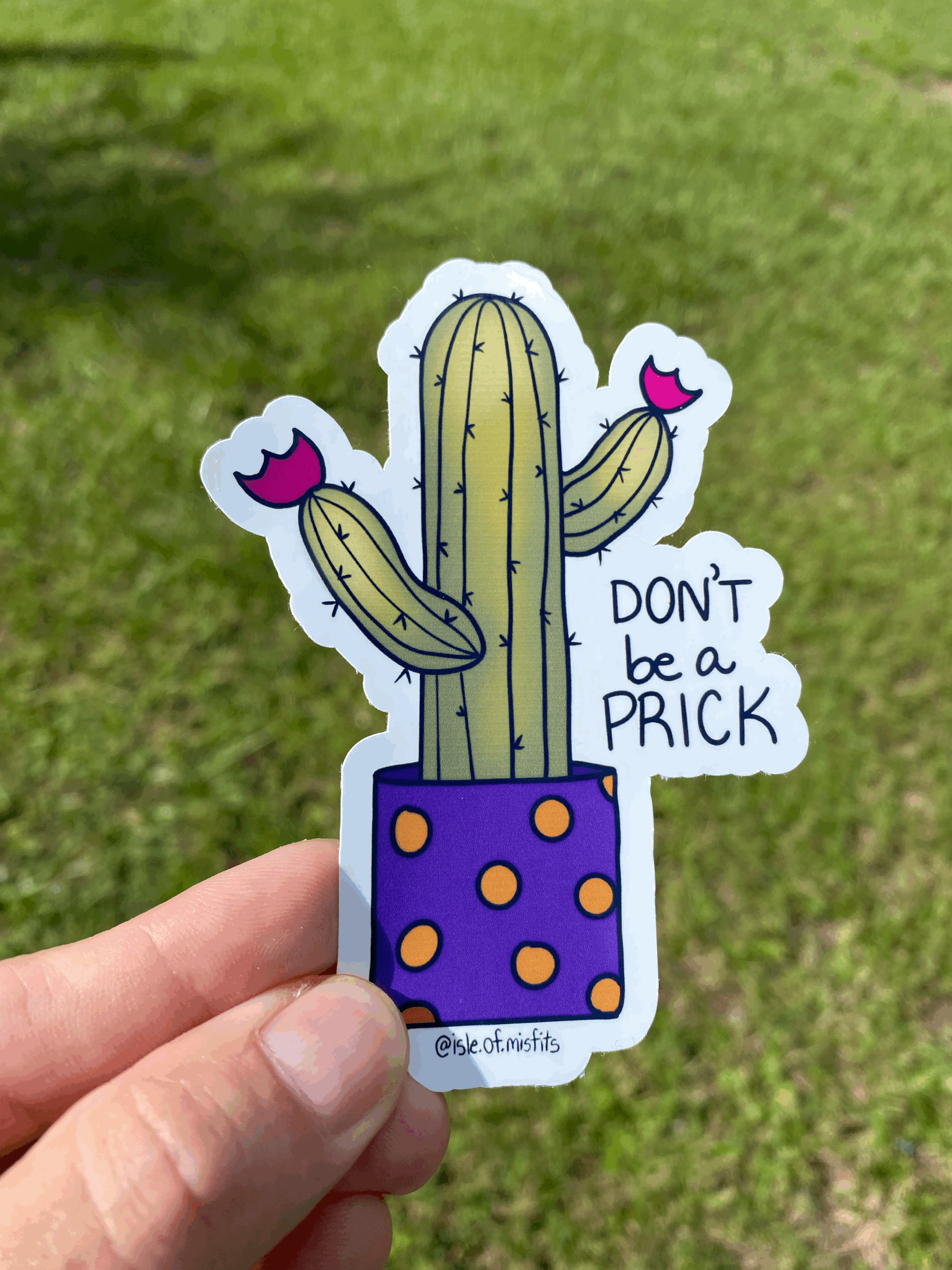 Cactus vinyl sticker