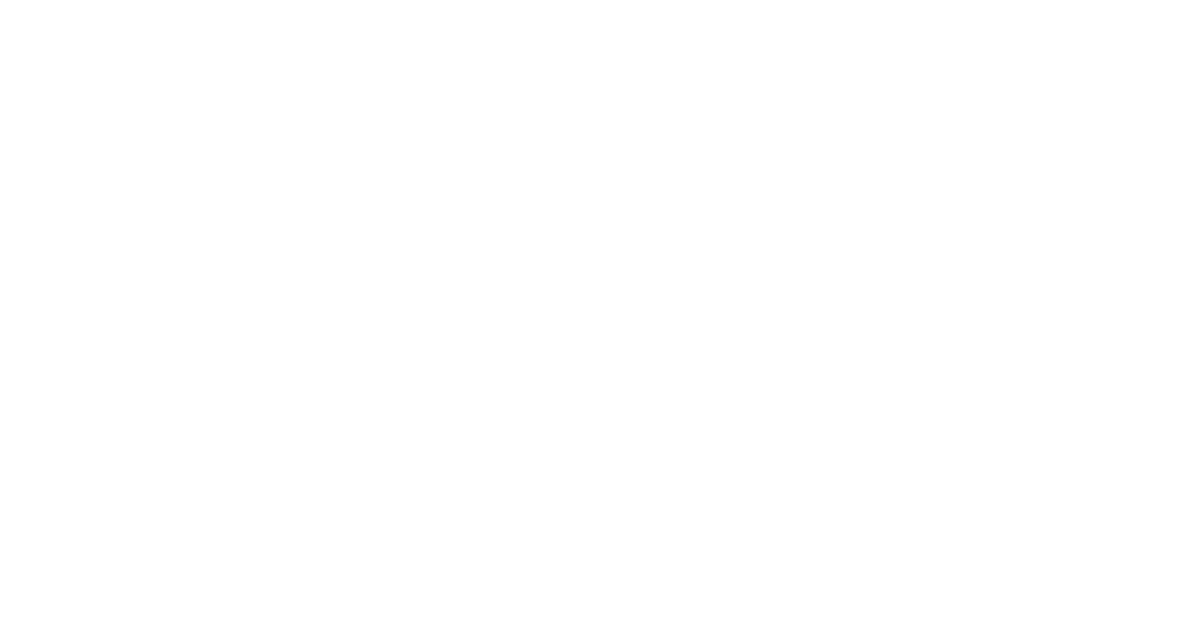 Chic Influence 