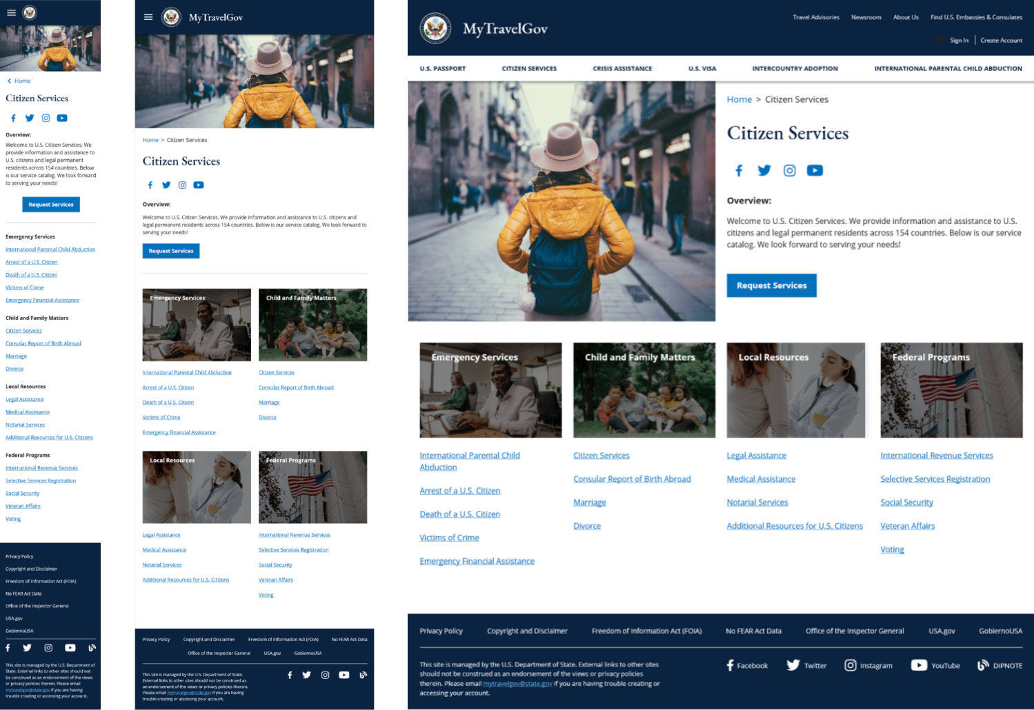 Level 2 pages for MyTravelGov