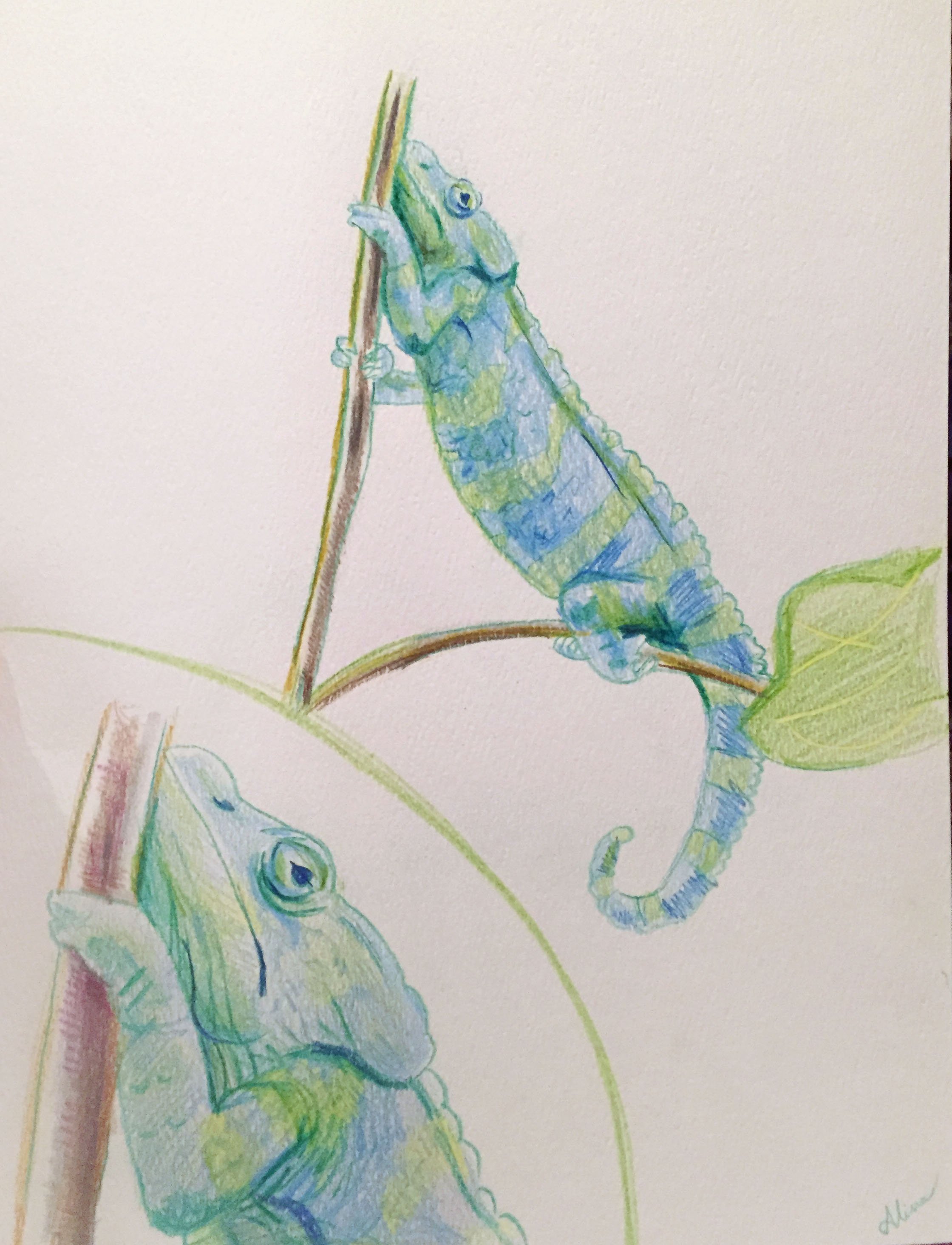 EnPleinAir-Chameleon-sketch.jpg