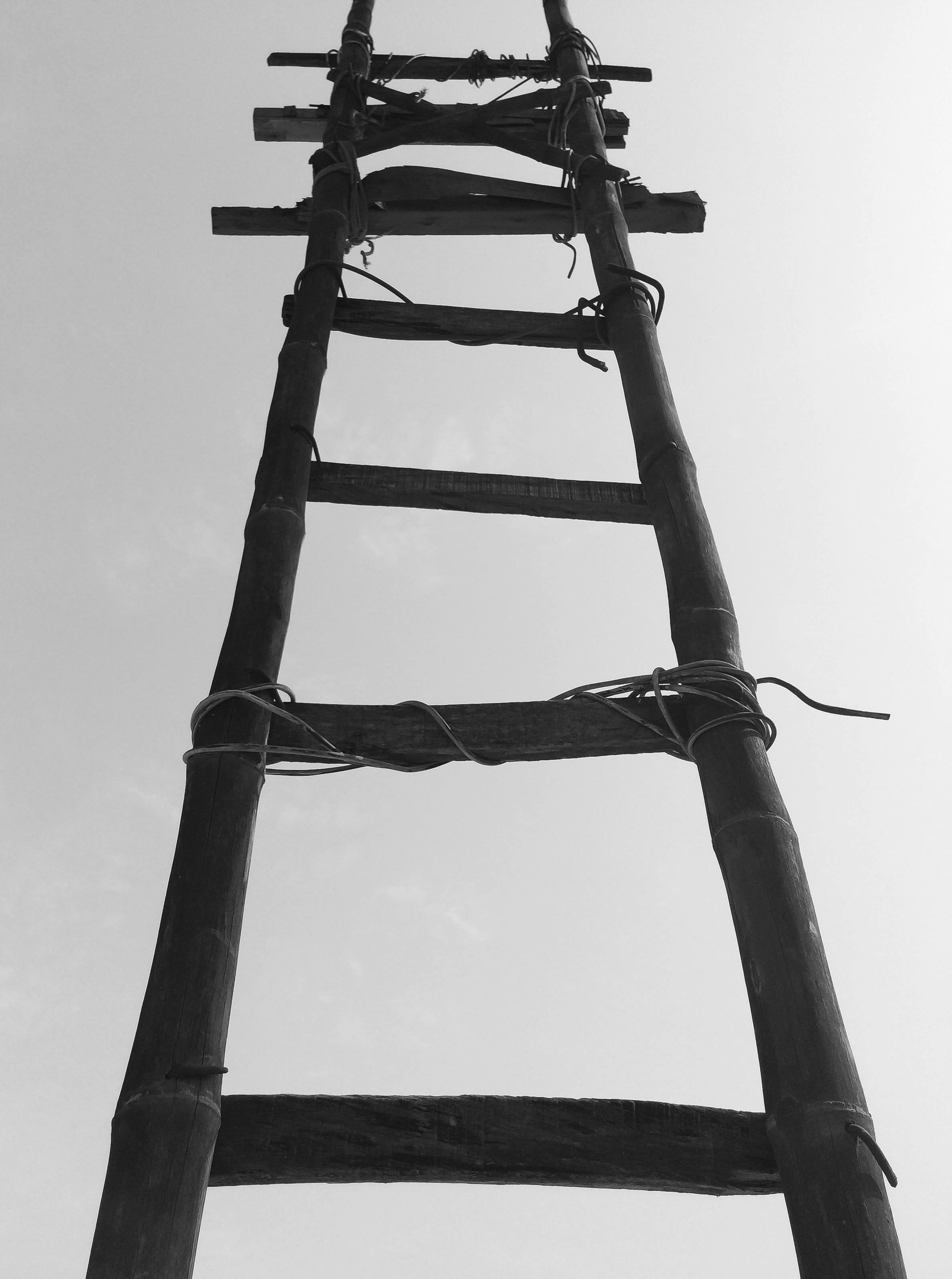 the ladder enigma
