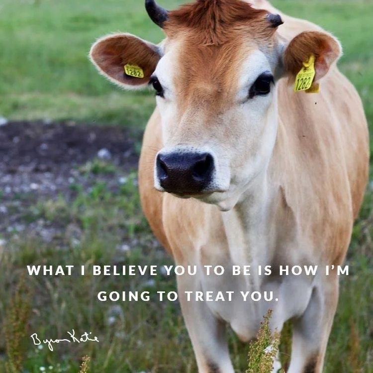 Two People Have Never Met… Work Diaries✨