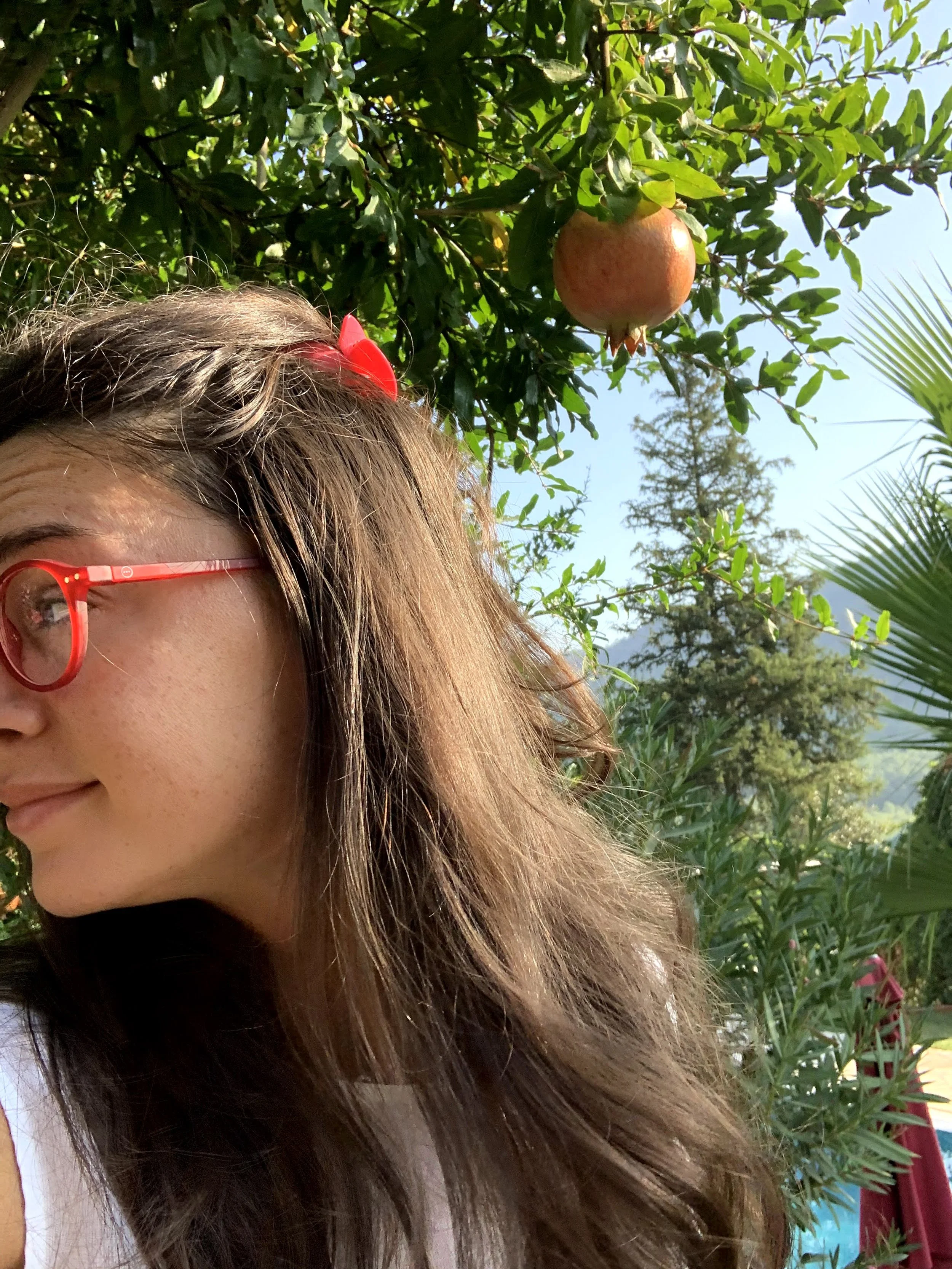 I gifted myself two days of silence... — Just me, the mountains, beautiful nature, and my notebook