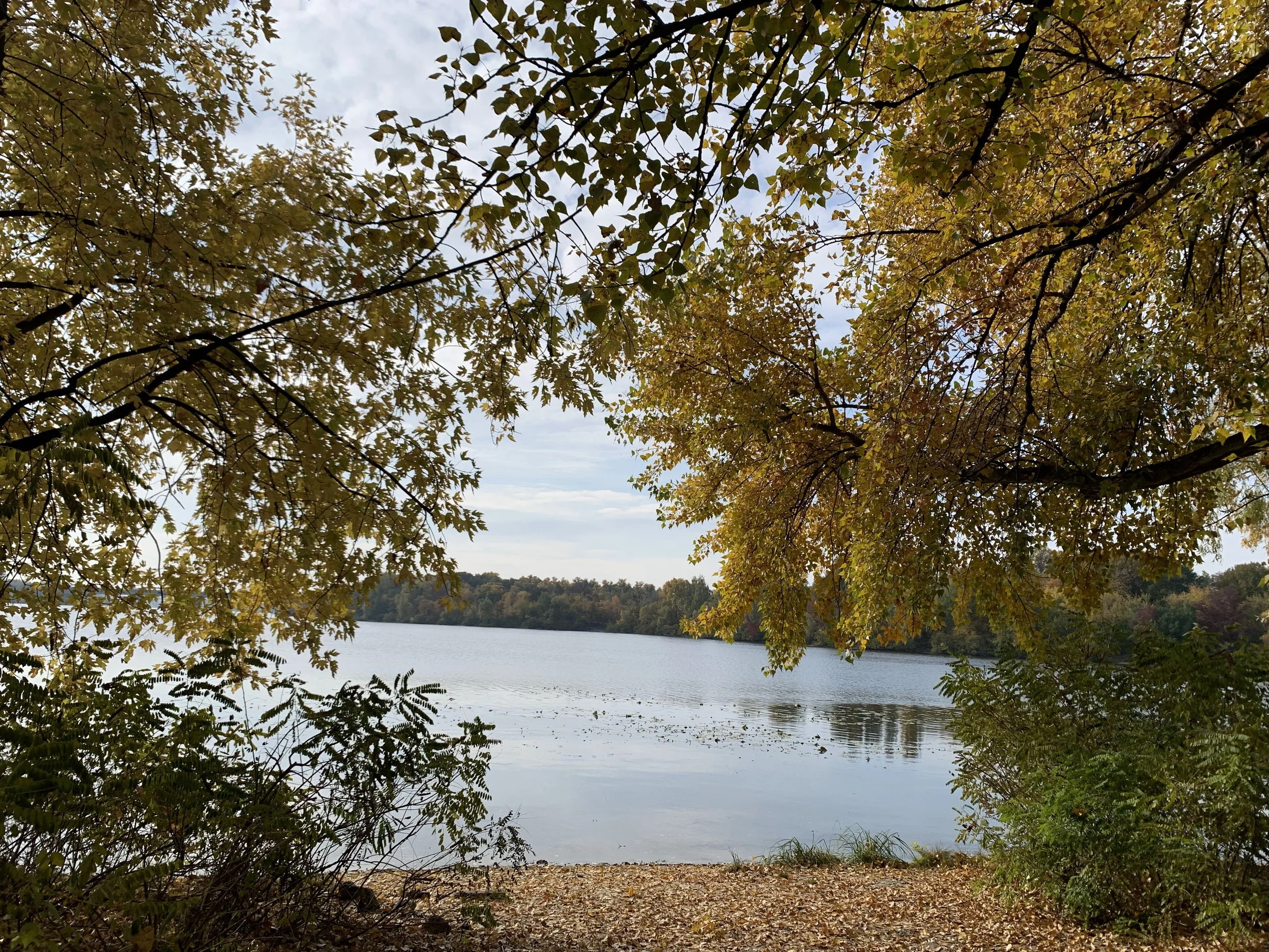IMG_6868.jpg