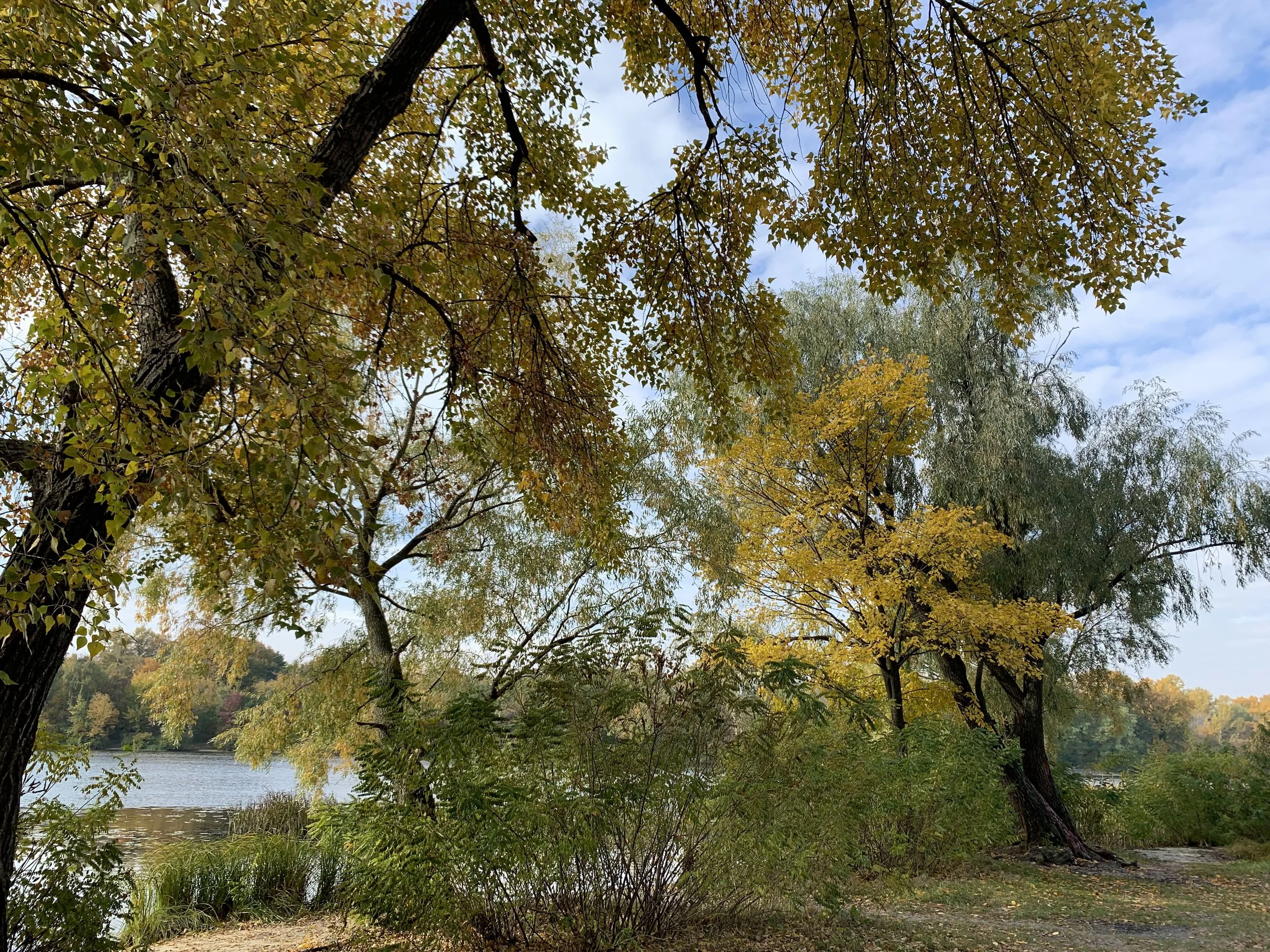IMG_6869.jpg
