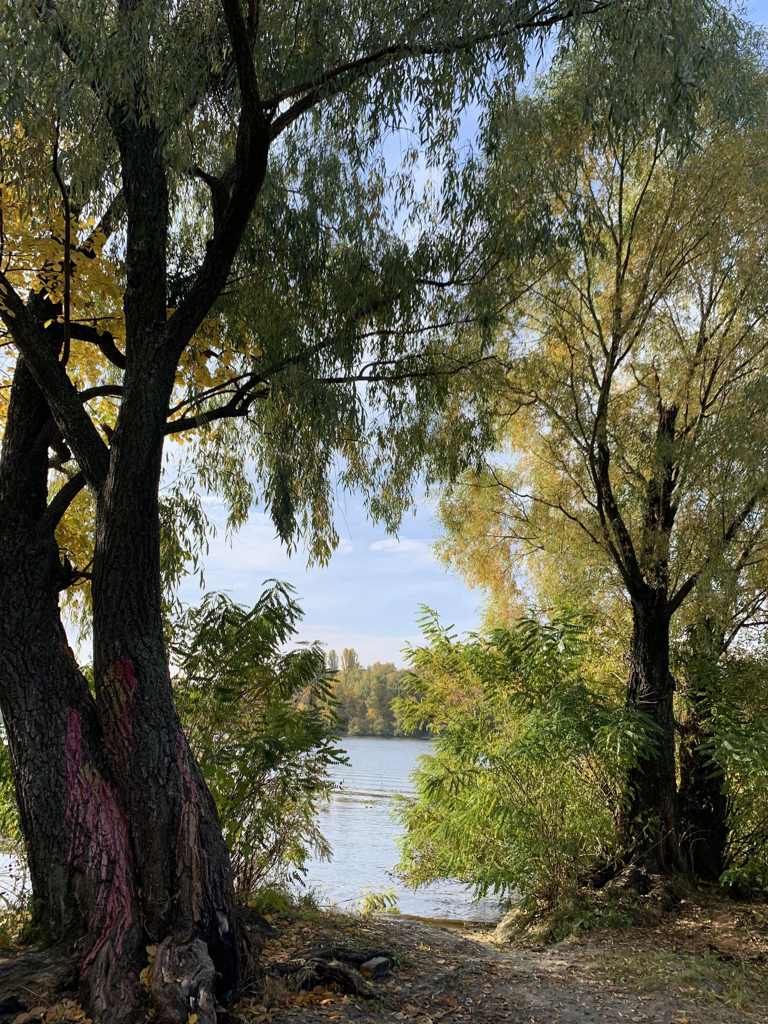 Golden Autumn in Kyiv 🍁✨