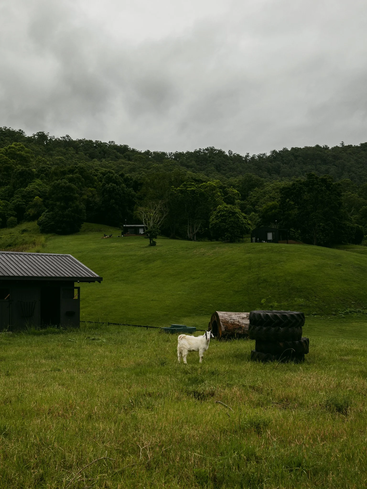 Selah-33.jpg