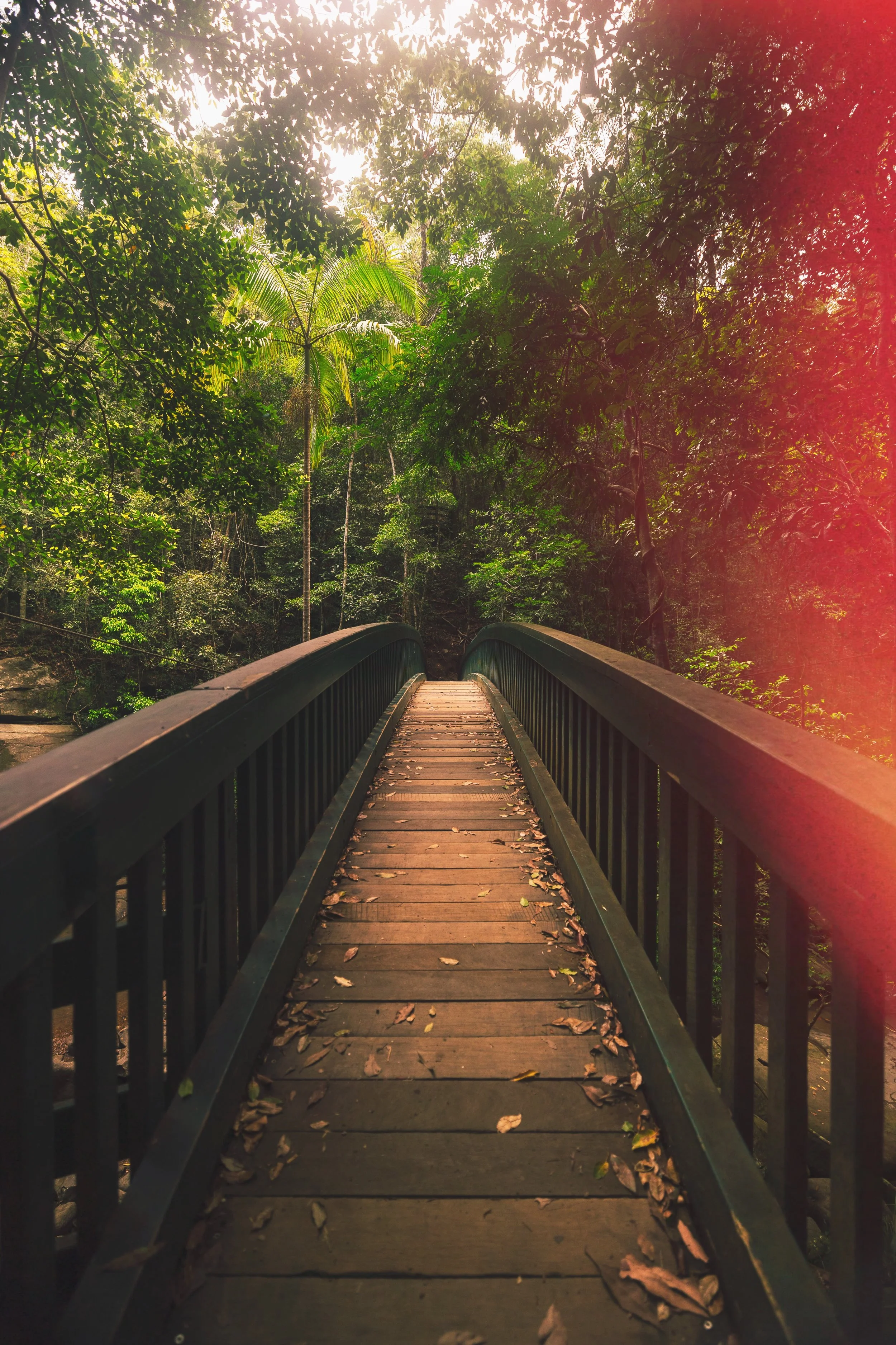 RAFF3697-Edit.jpg