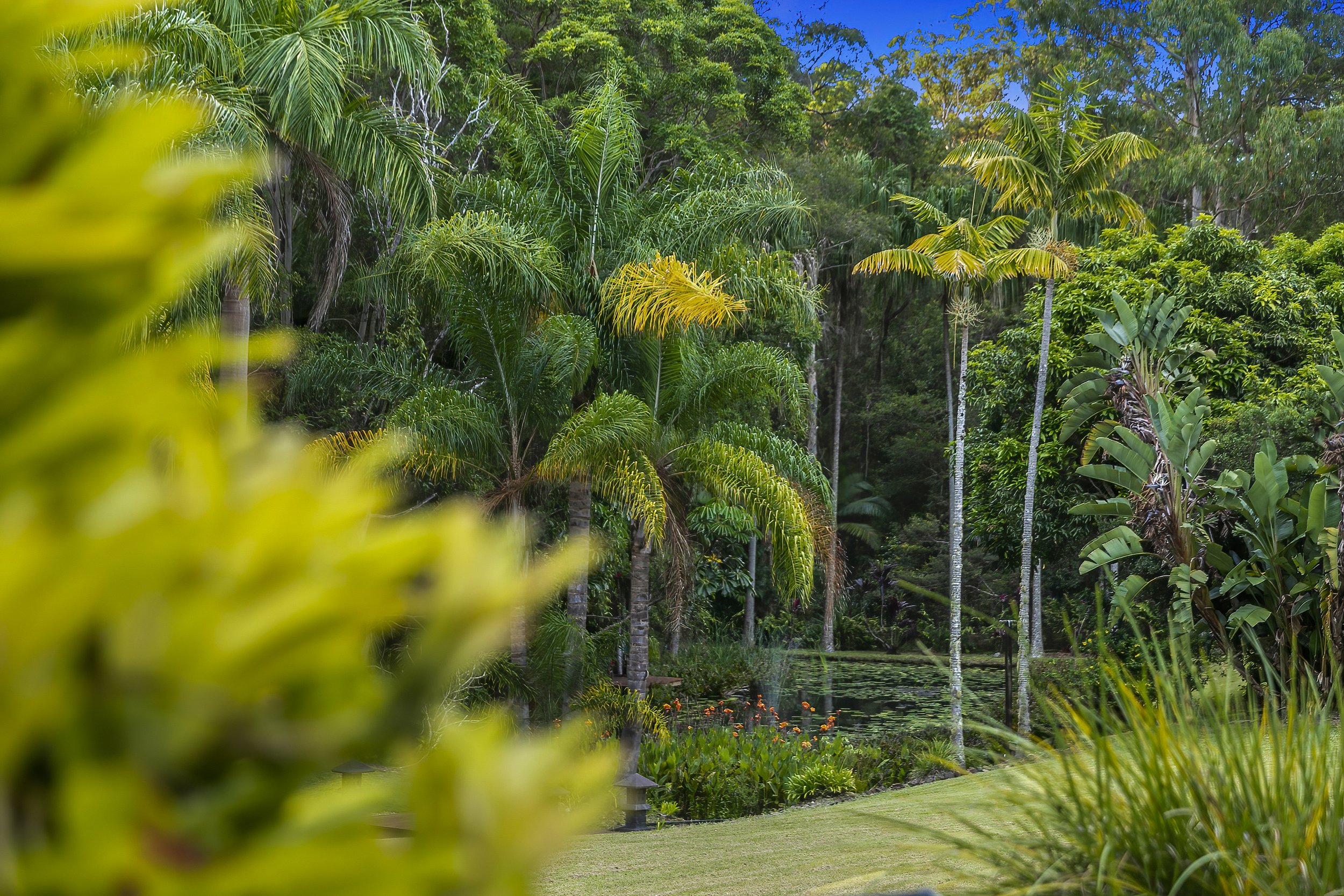 012_Open2view_ID801358-478_Dath_Henderson_Road.jpg