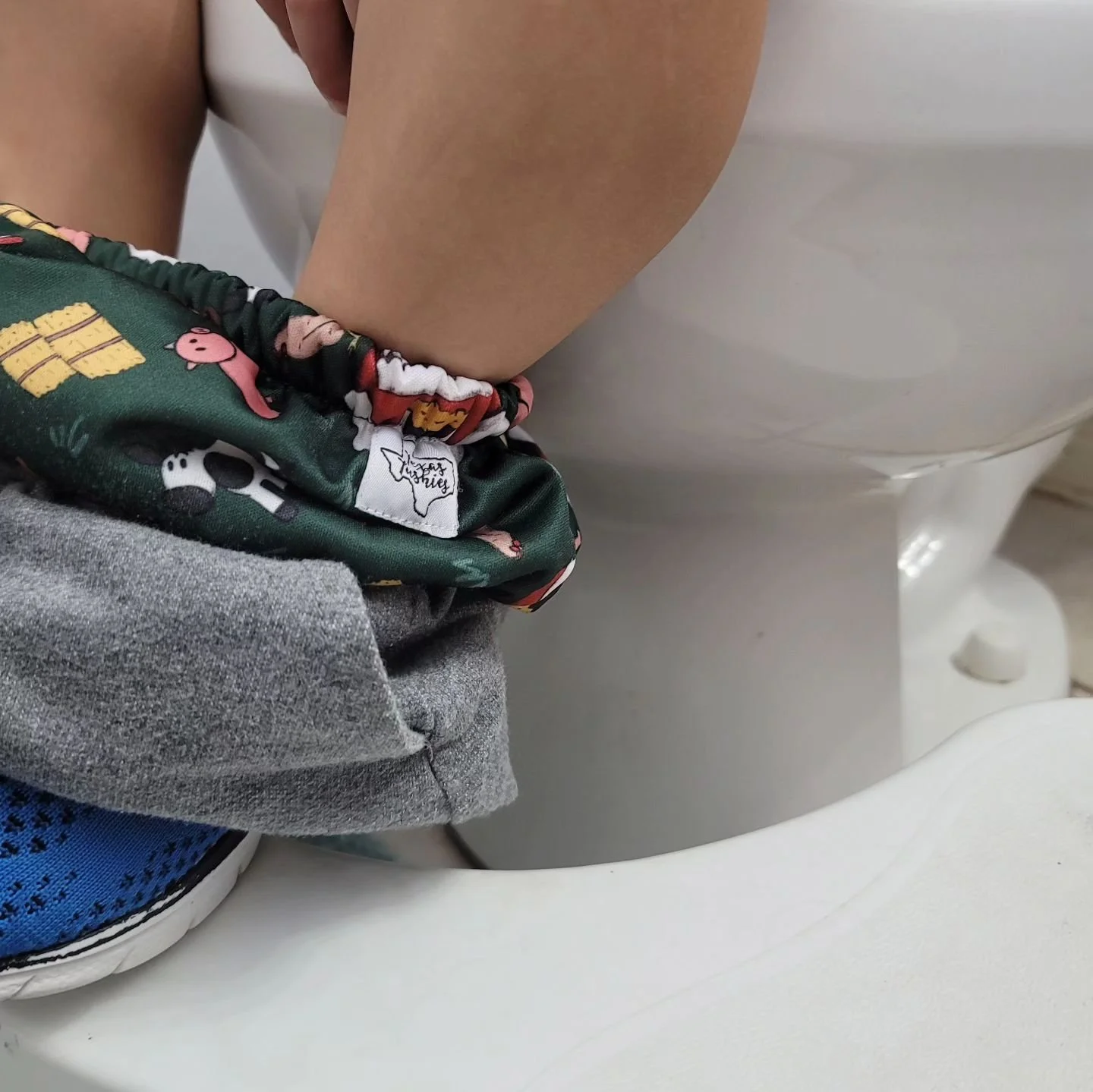 π½ Potty Training Update π
I've not been super active lately (sorry) but we're sorta grieving the end of our cloth diapering era π Teddy has been doing great with his trainers at daycare and they want us to send panties next week and see how it go
