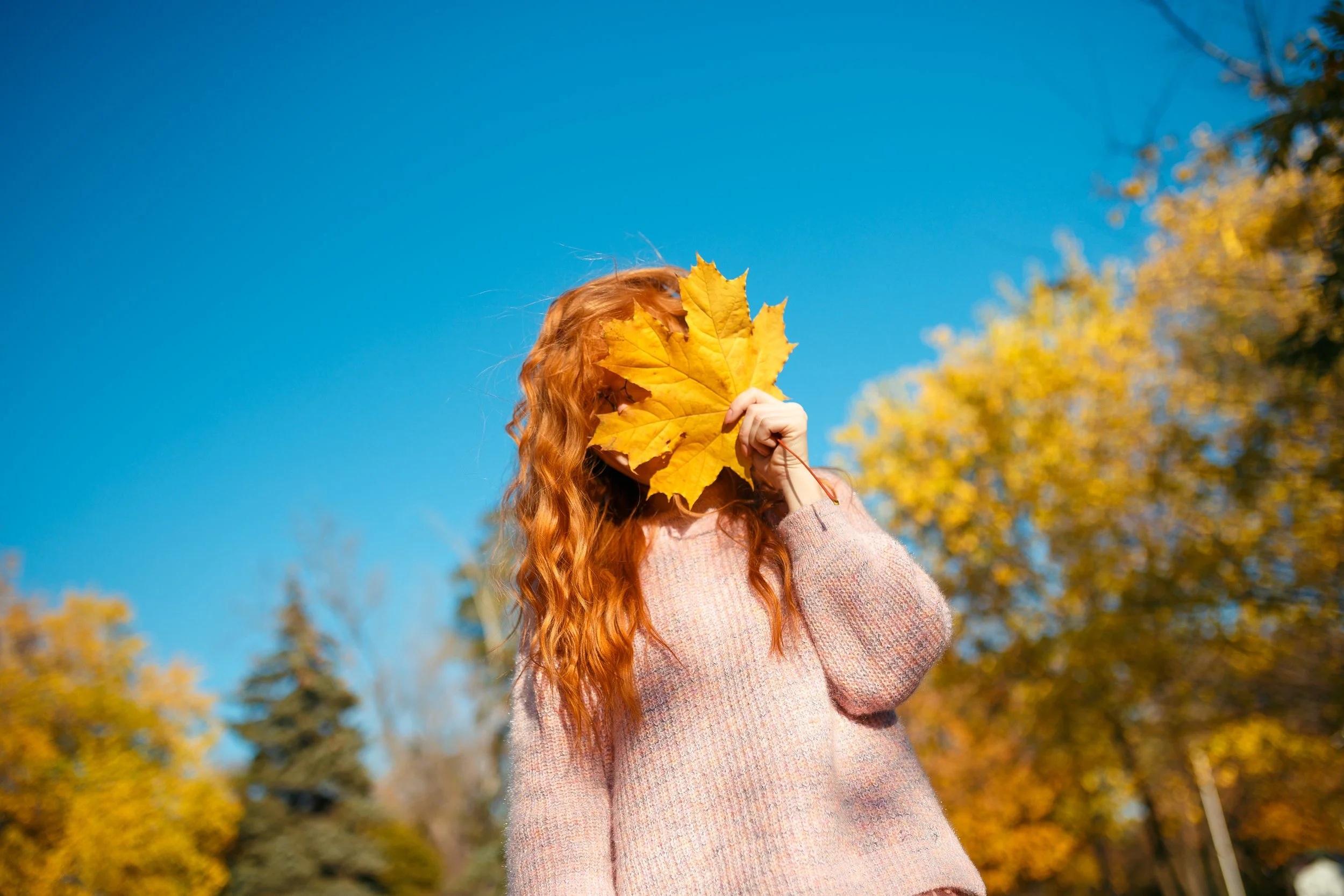 Fall Wellness Starts Here: In-Home Infusion Therapy in Bellevue