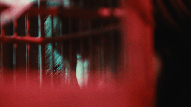 20260201_Anna_Megan_Black_Valve_010.MP4_01742694.gif