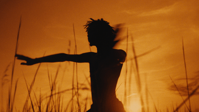20250729_Eli_Shelly_0004.MP4 Render 19.mov_orange_shadow.gif