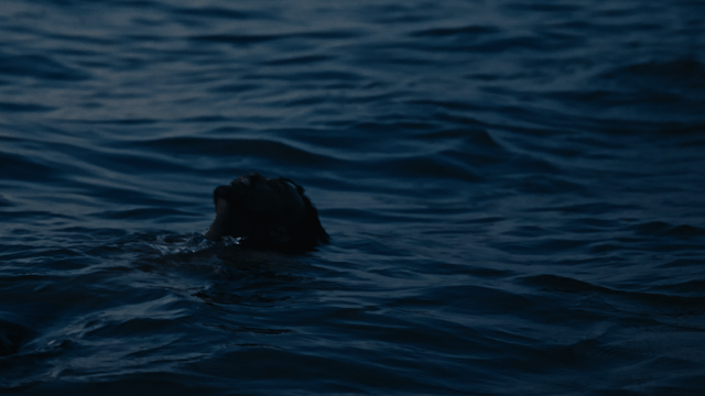 20250729_Eli_Shelly_0019_WAVES.gif