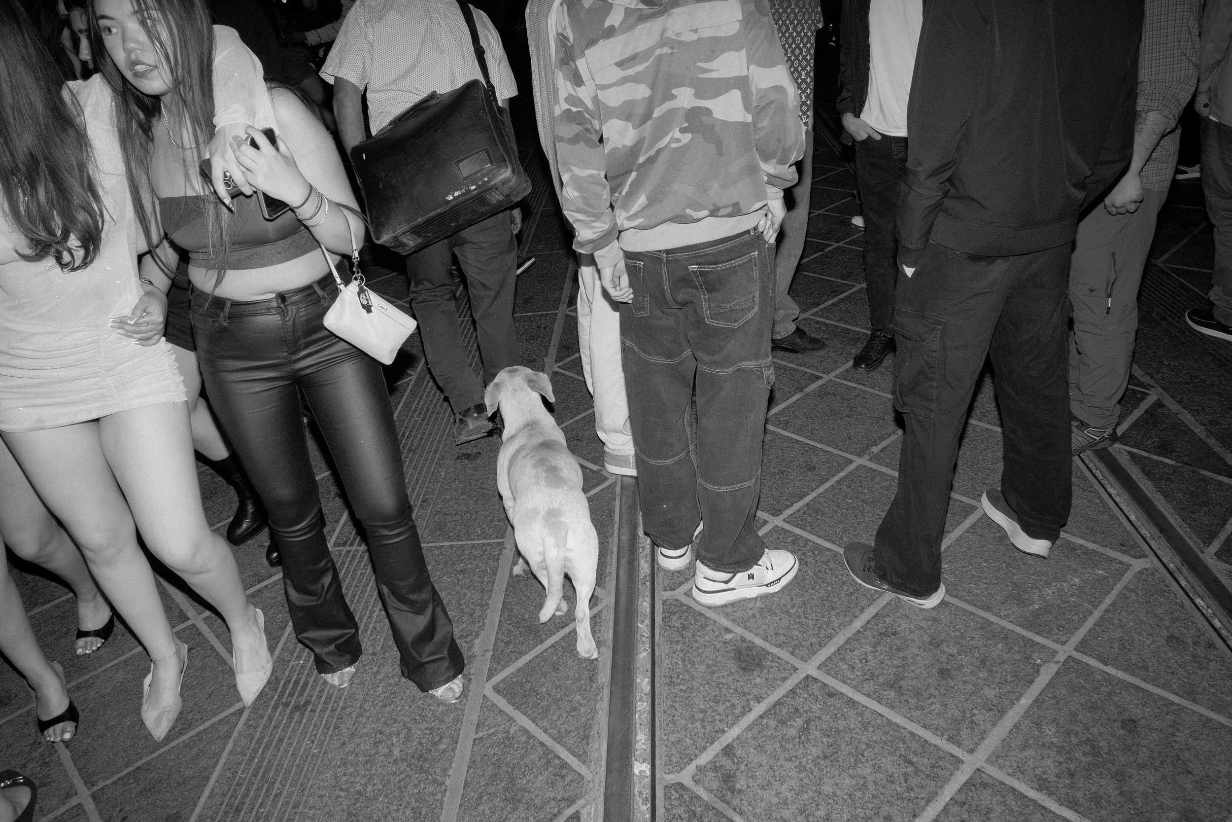 SJSTREETS WEBSITE-174.jpg