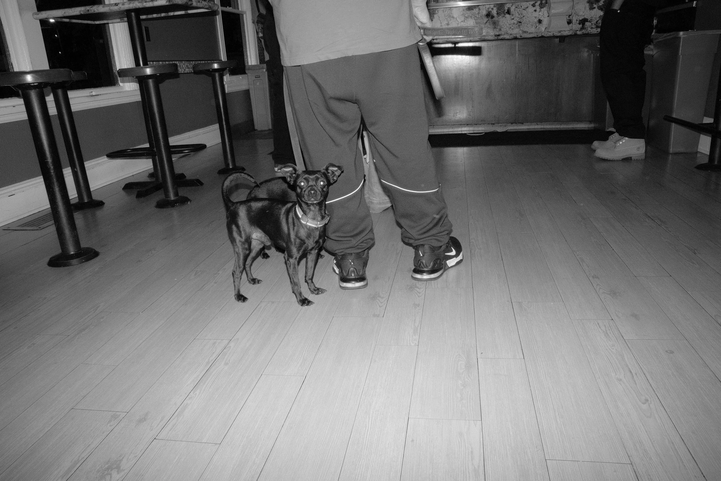 SJSTREETS WEBSITE-75.jpg