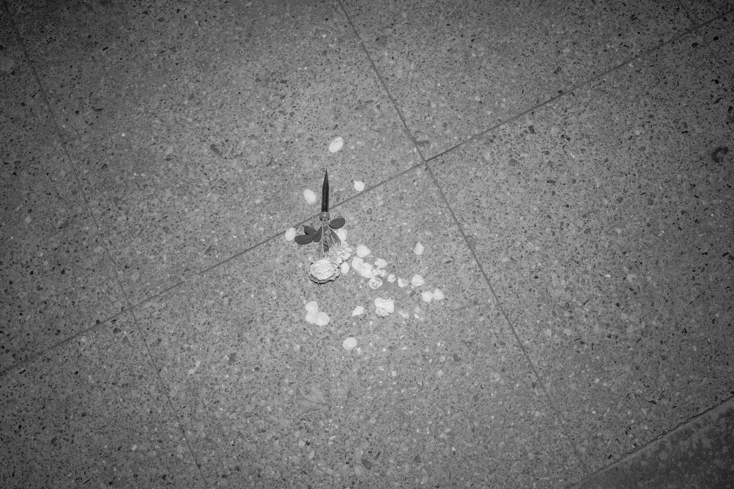 SJSTREETS WEBSITE-82.jpg