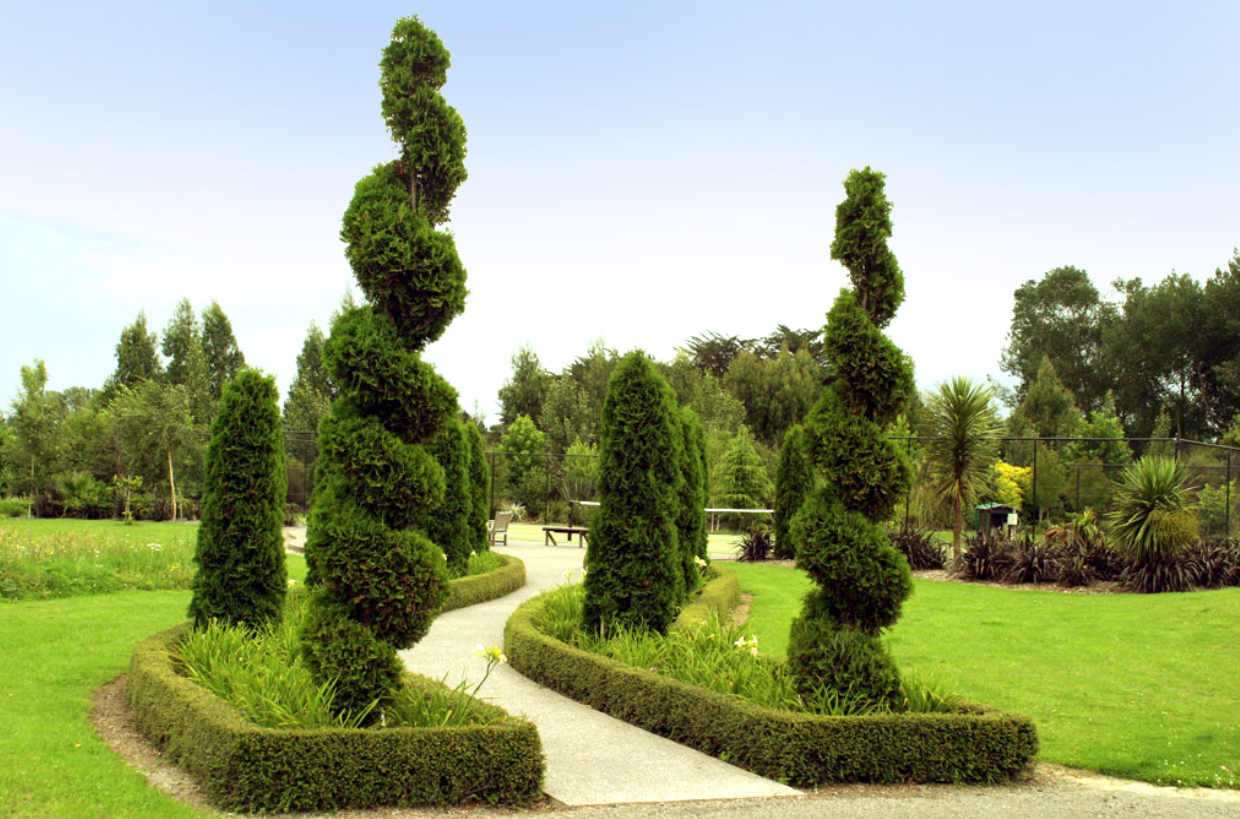 FL-Trees.png