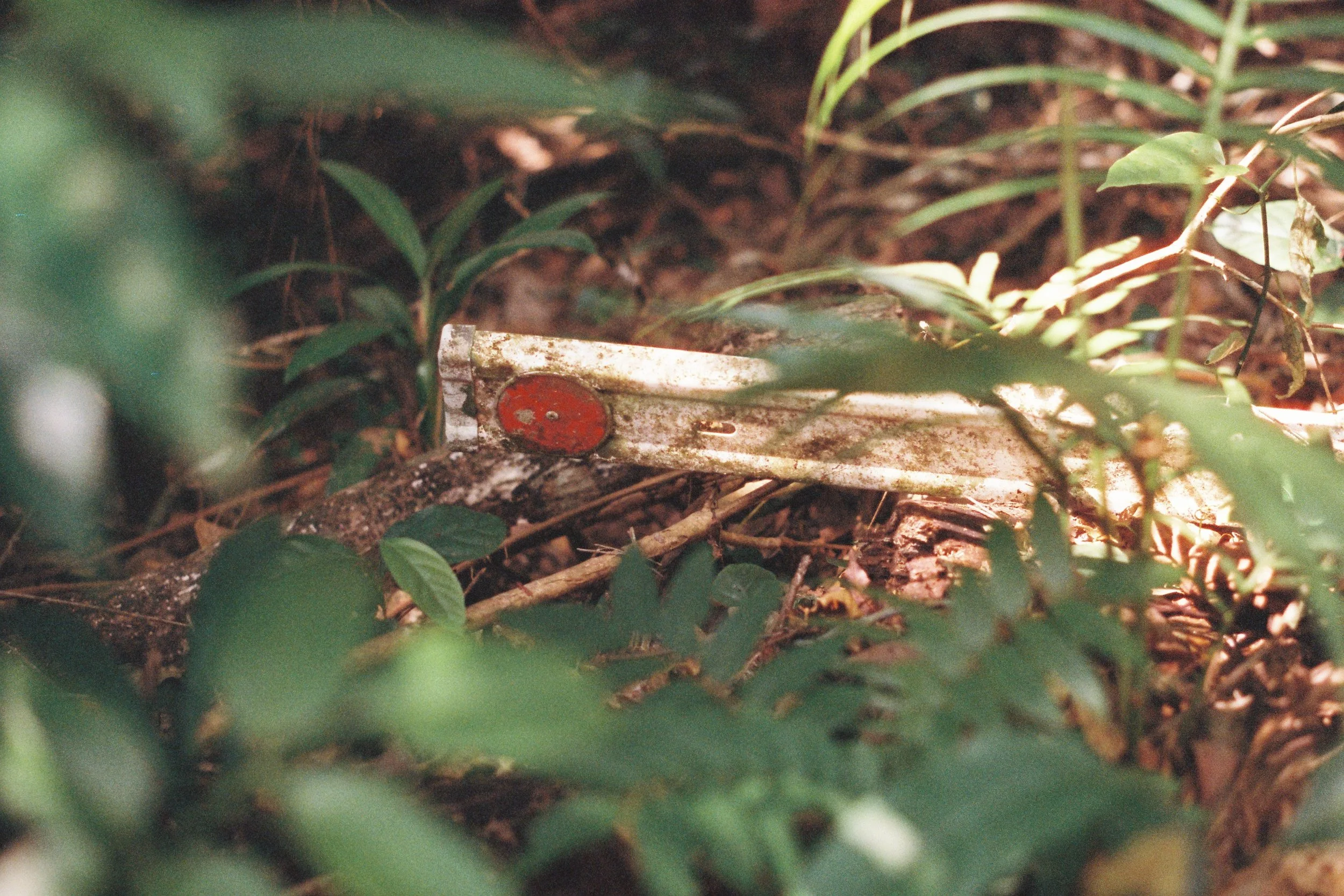 F1060028.jpg