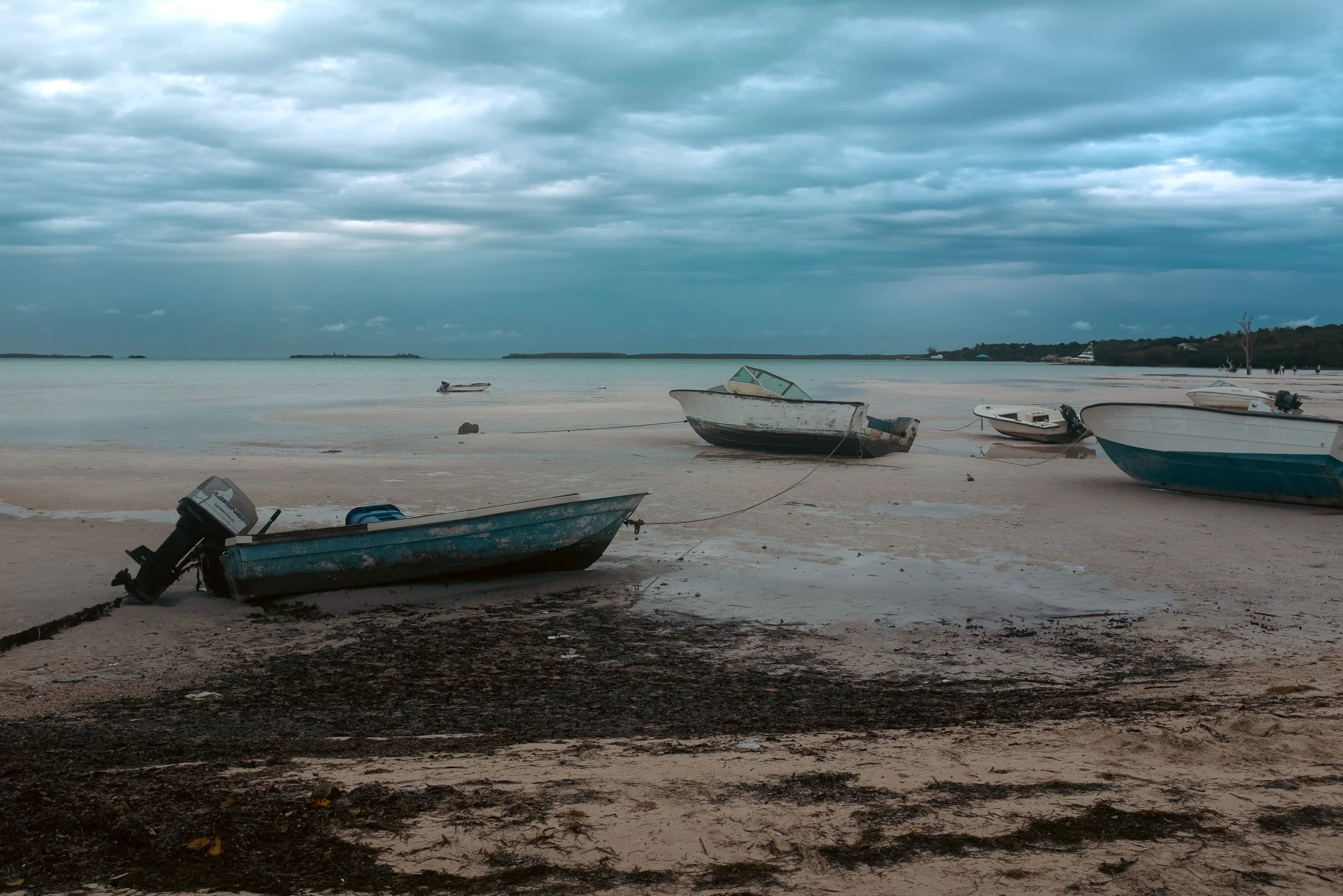 DSCF4357.jpg