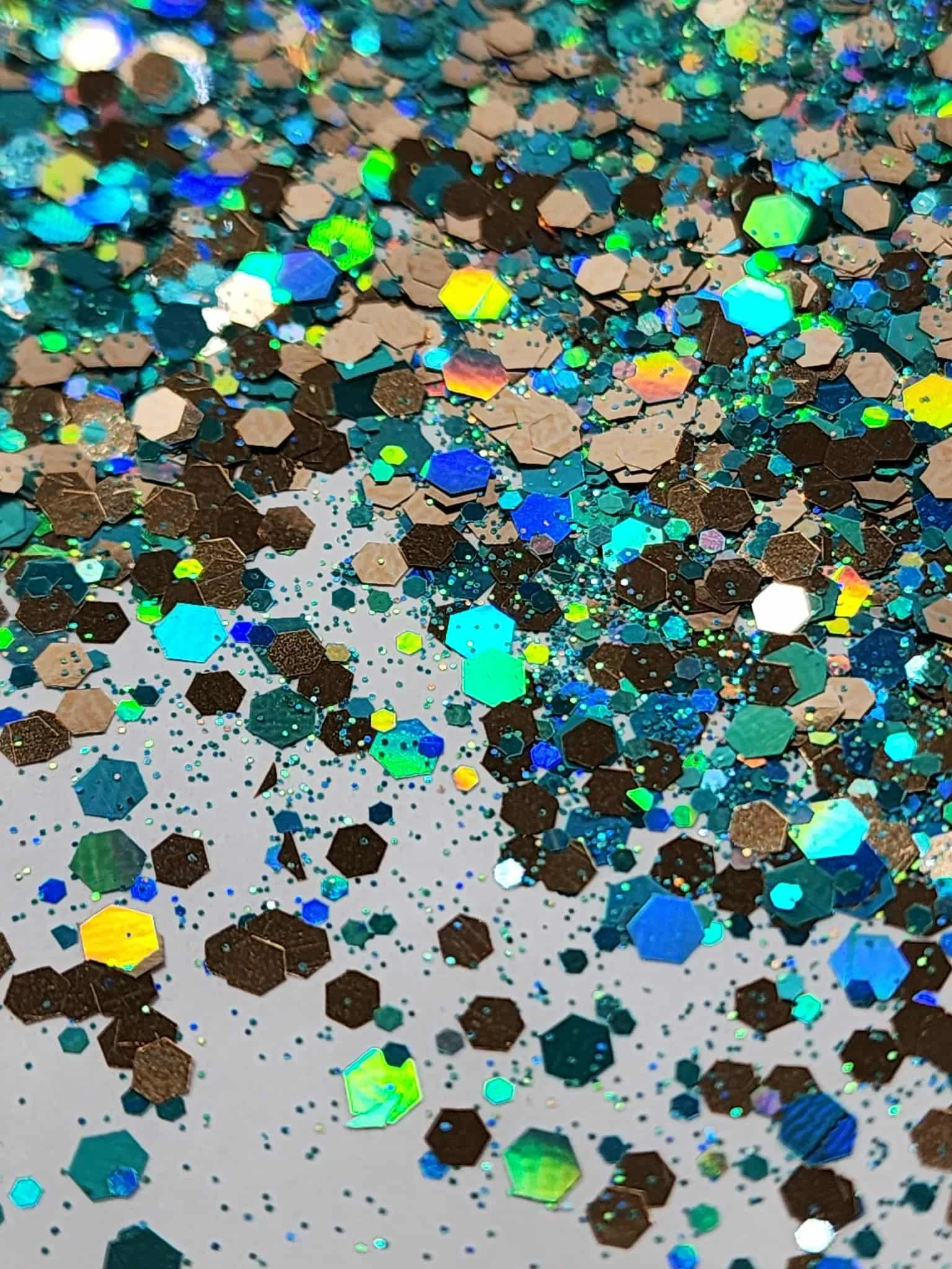 Typhon (Male) Dragon (2).jpg