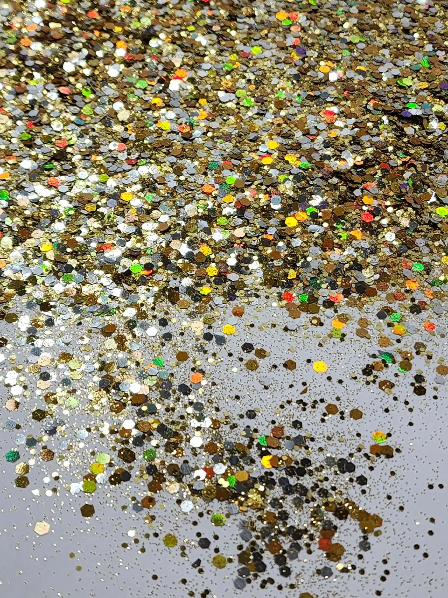 Gryphon Dragon (6).jpg