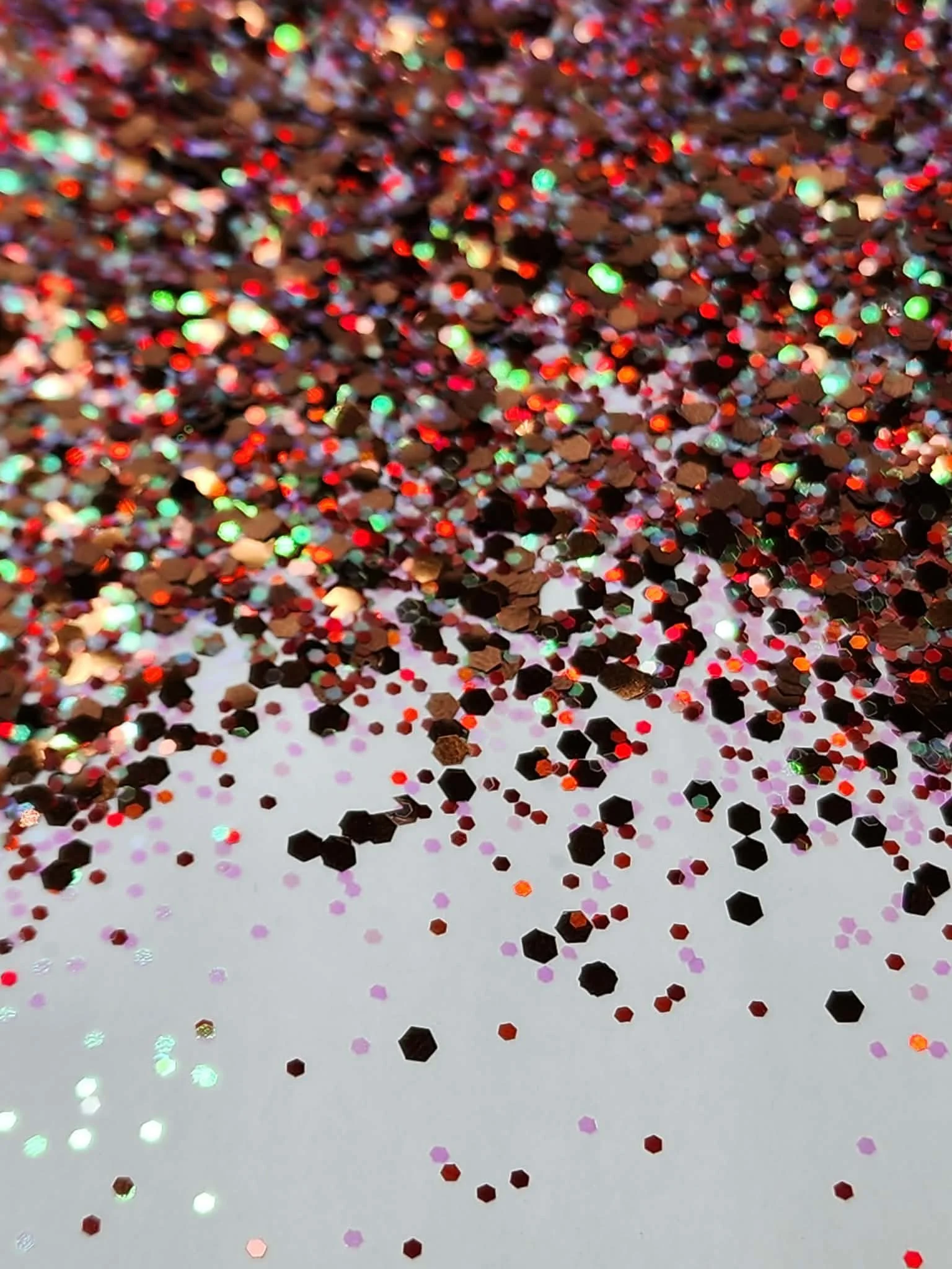 Christmas Dragon (2).jpg