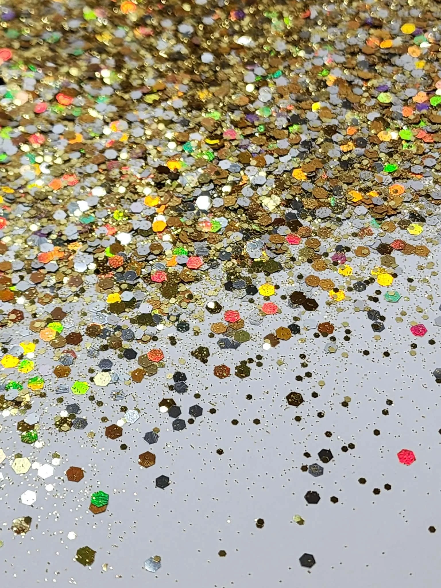 Gryphon Dragon (2).jpg