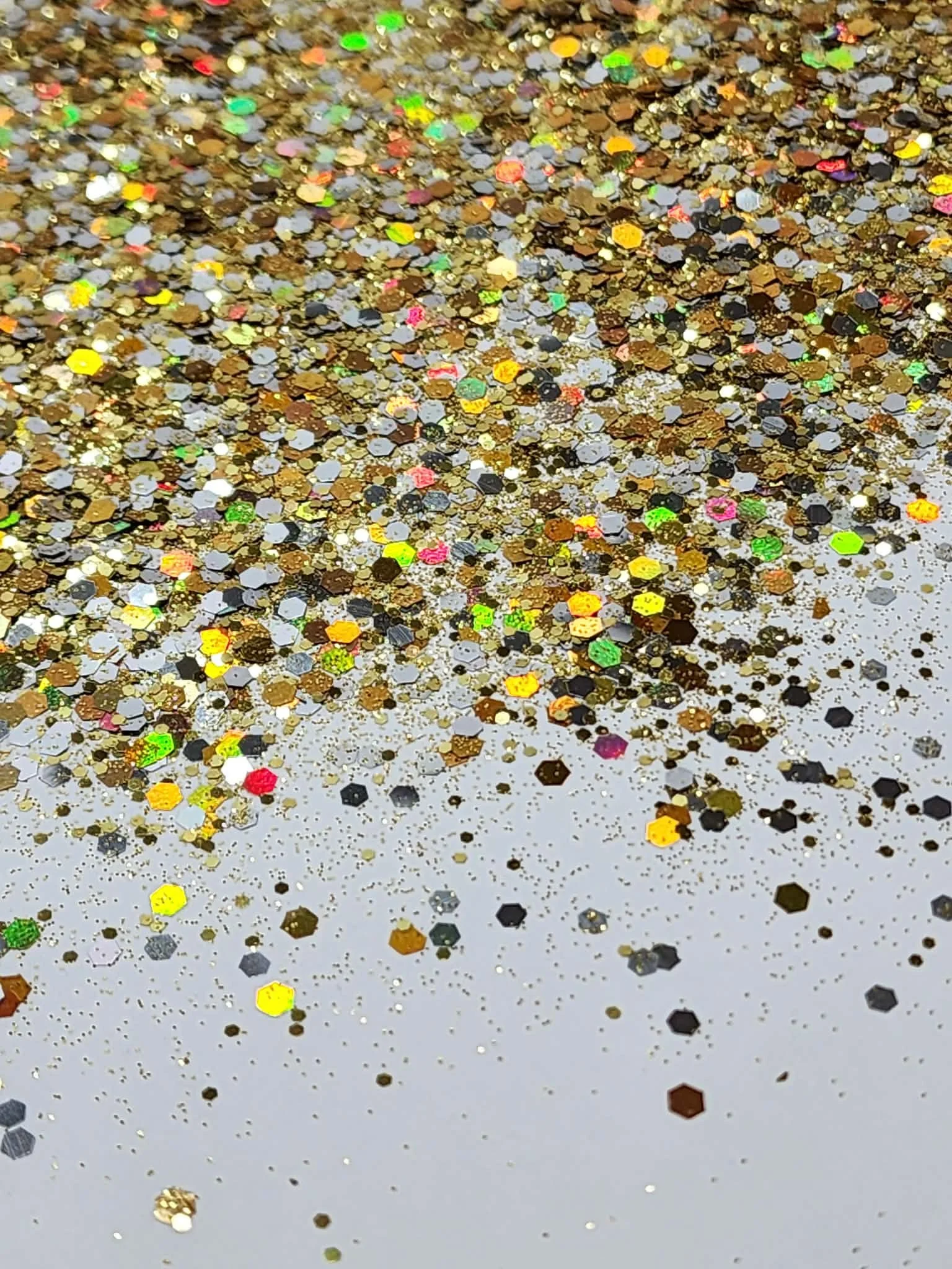 Gryphon Dragon (4).jpg