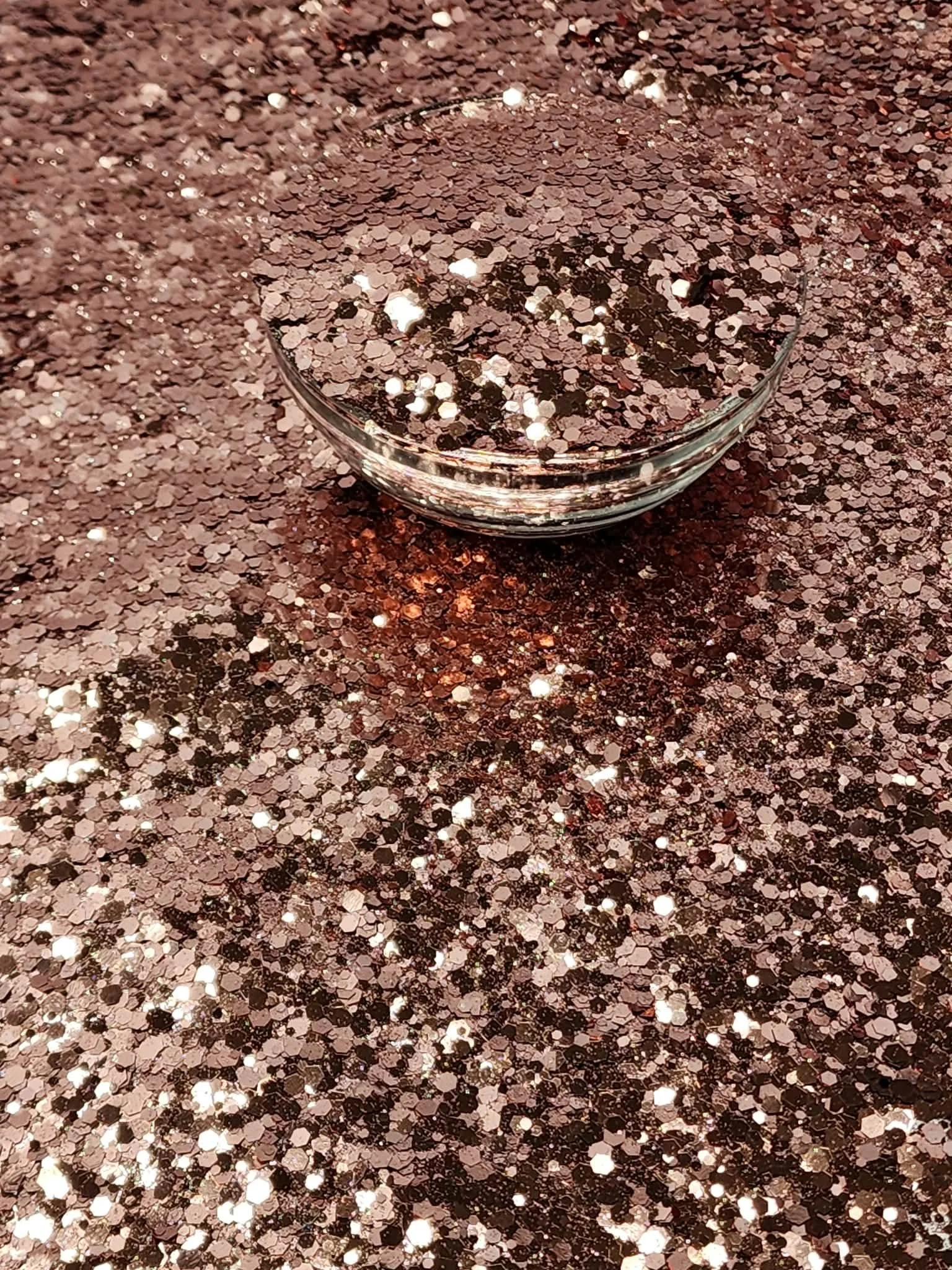 Pyralithia Dragon (5).jpg