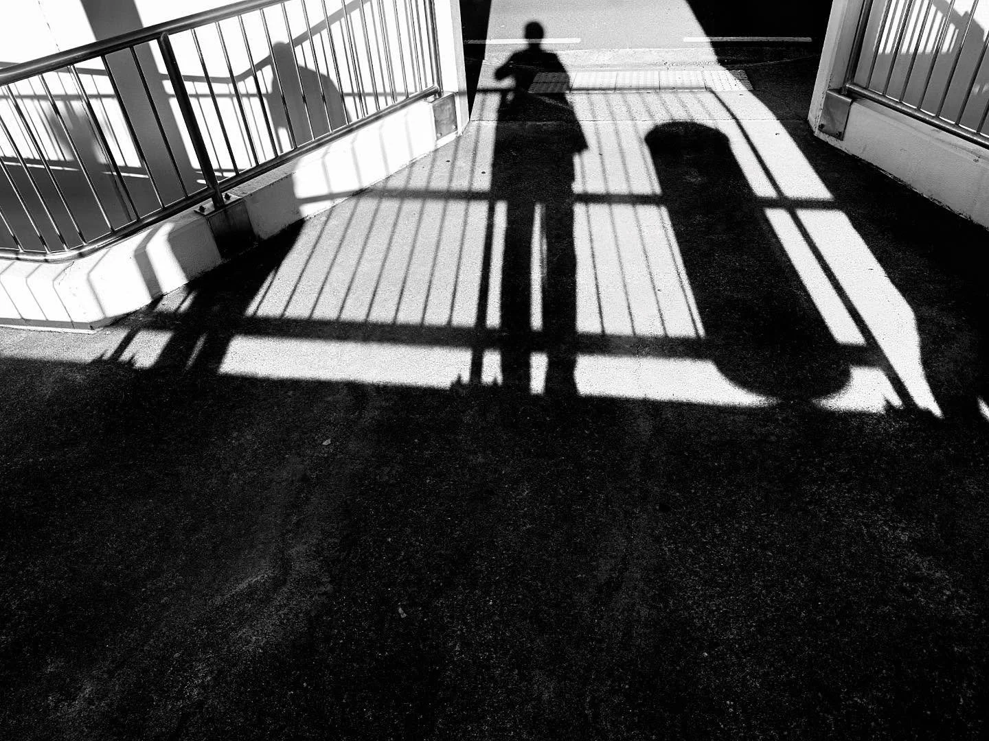 A recent train trip into Wellington city shown through a B&amp;W lens. Enjoy!

#blackandwhite #train #artistlife #recordmyjourney #citylife