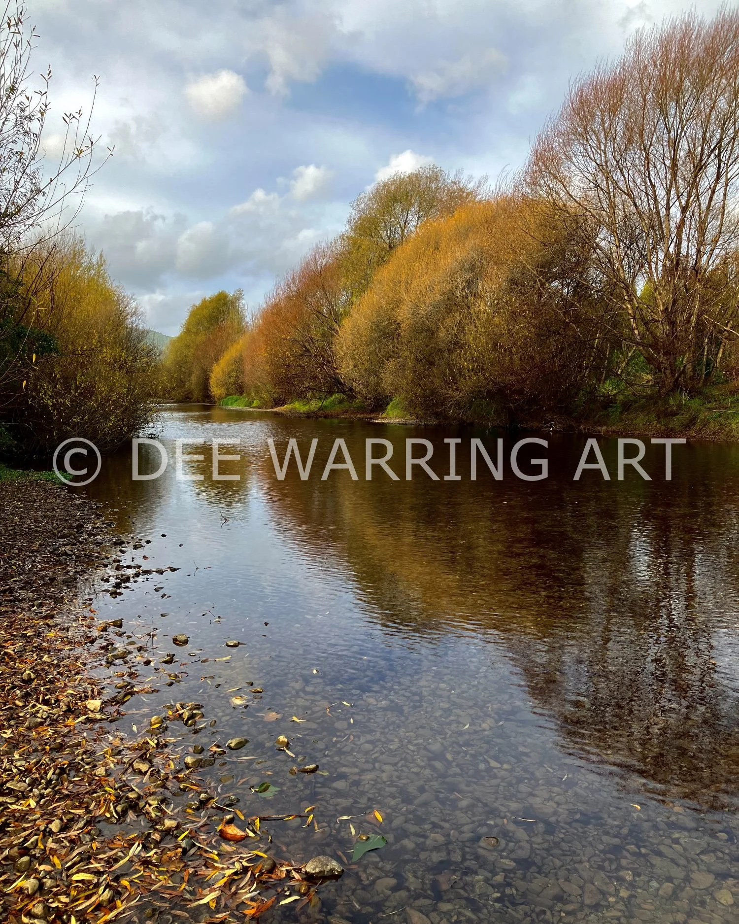 Autumn Waikanae River
