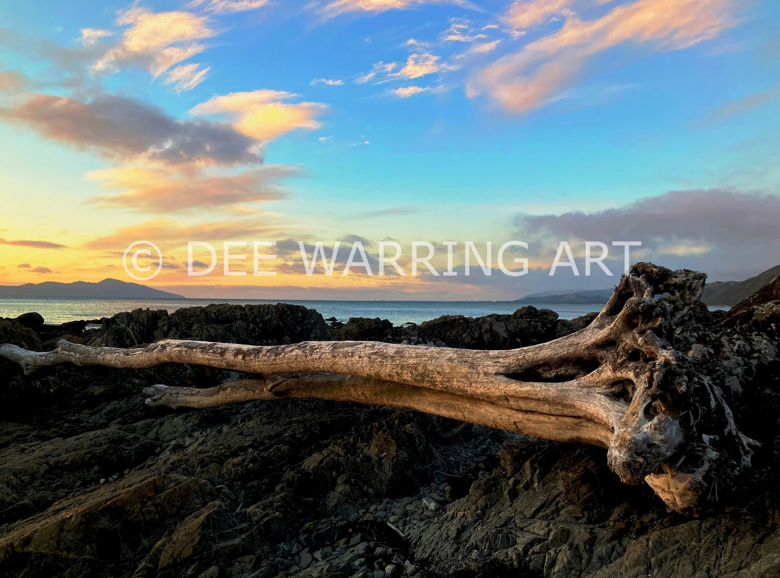 Original landscape photo by Dee Warring of large driftwood on rocks at sunset